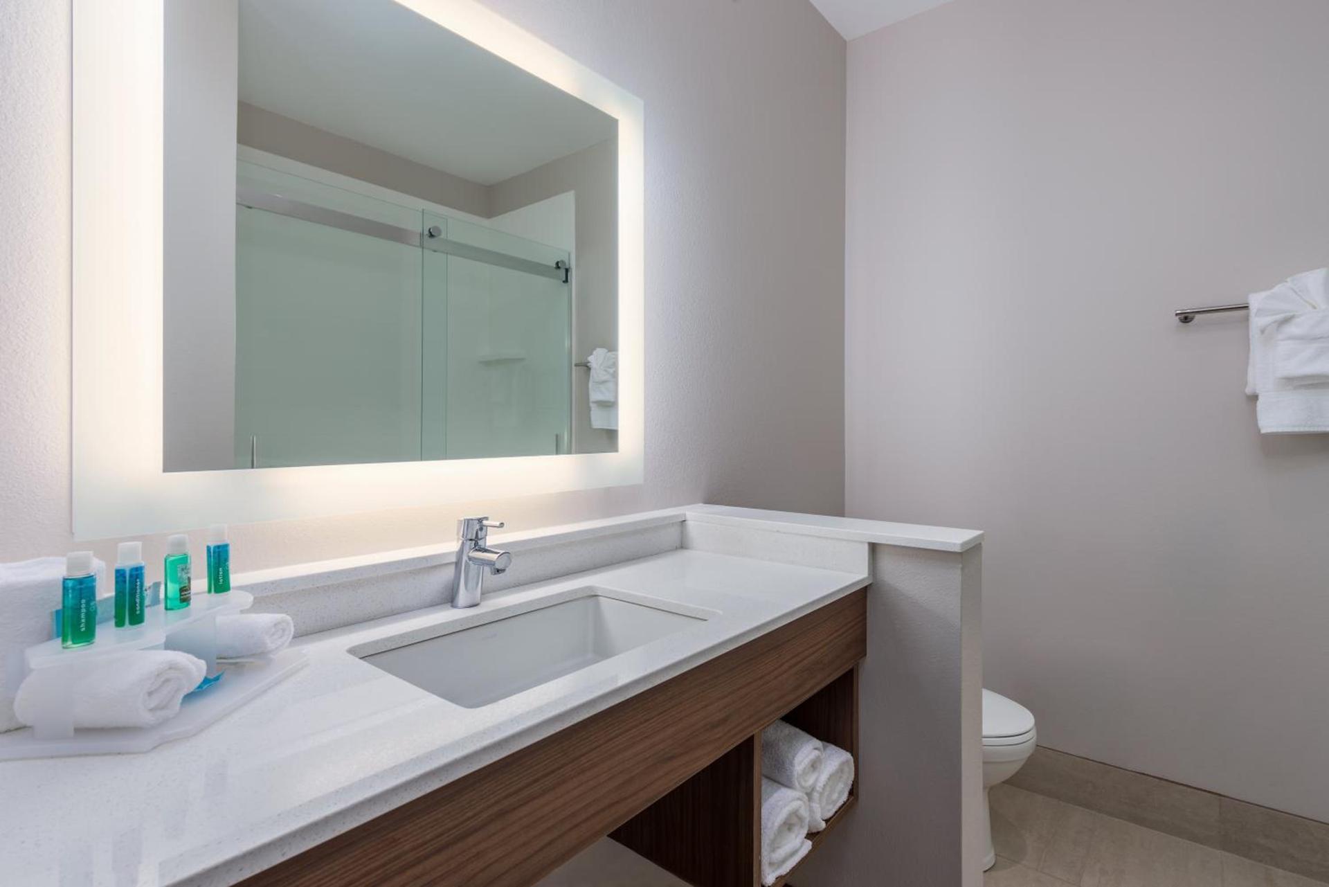 Holiday Inn Express Troy by IHG photo 14