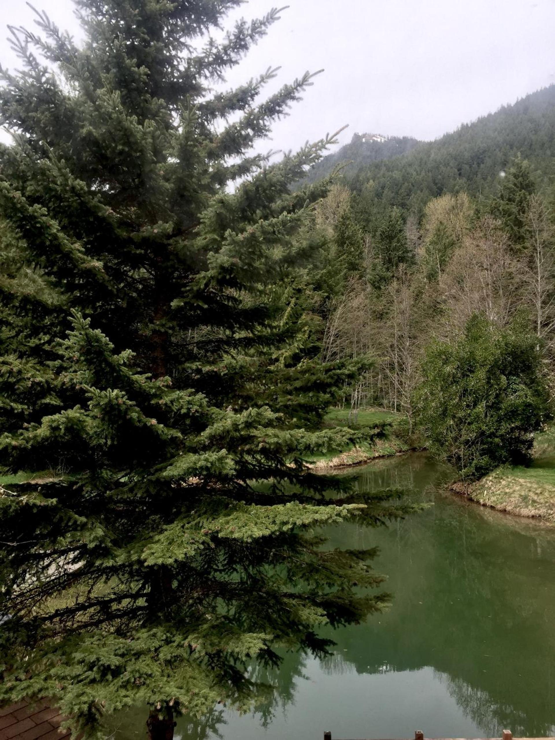 Alexander's Lodge photo 16