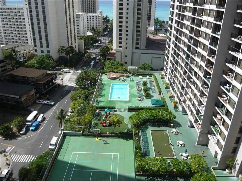 French Banyan photo 9