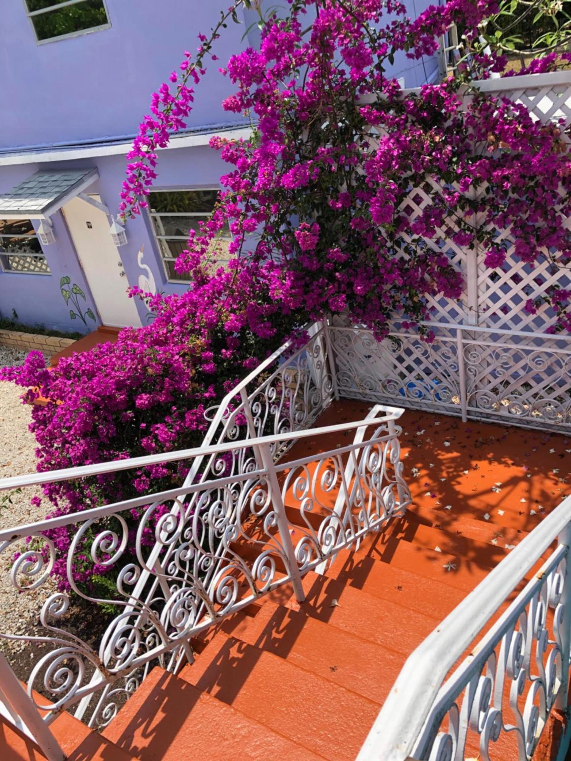 The Pelican Key Largo Cottages photo 97