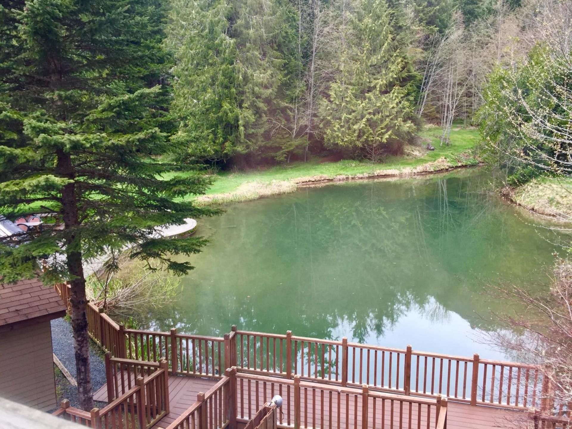 Alexander's Lodge photo 15