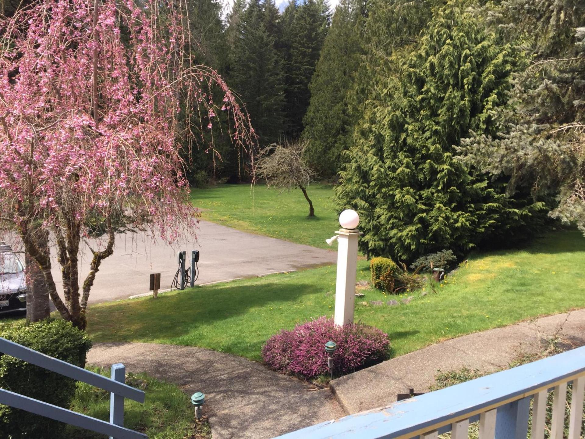 Alexander's Lodge photo 13