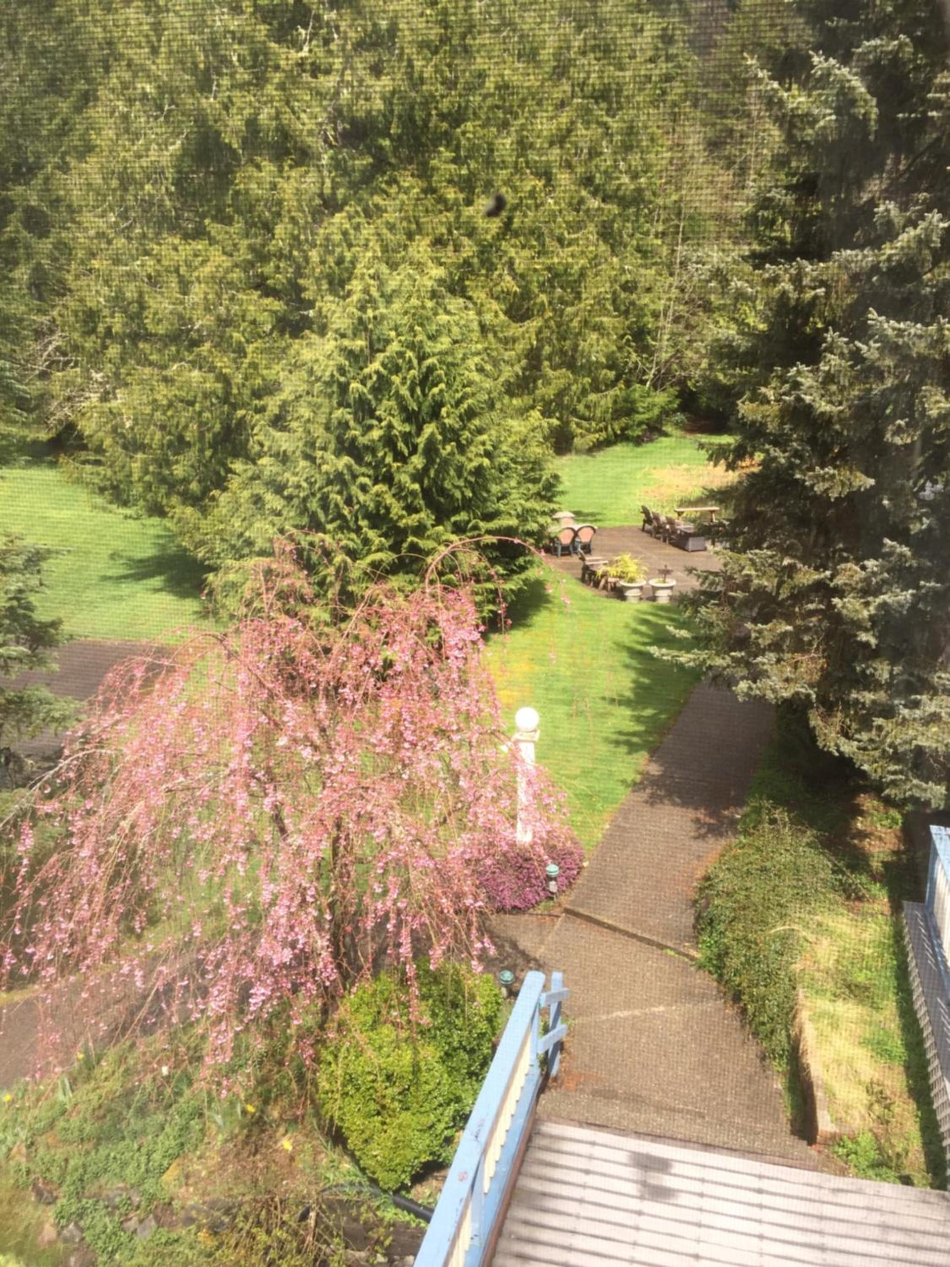 Alexander's Lodge photo 11