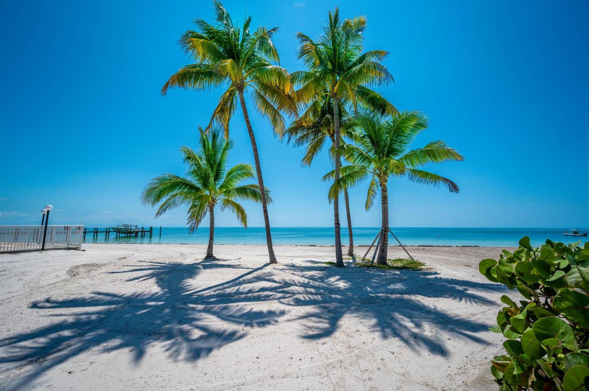 Coco Plum Beach & Tennis Club & Marina photo 11