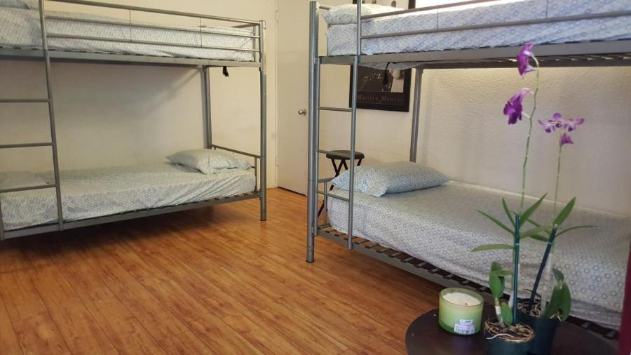 The Beach Waikiki Boutique Hostel photo 16