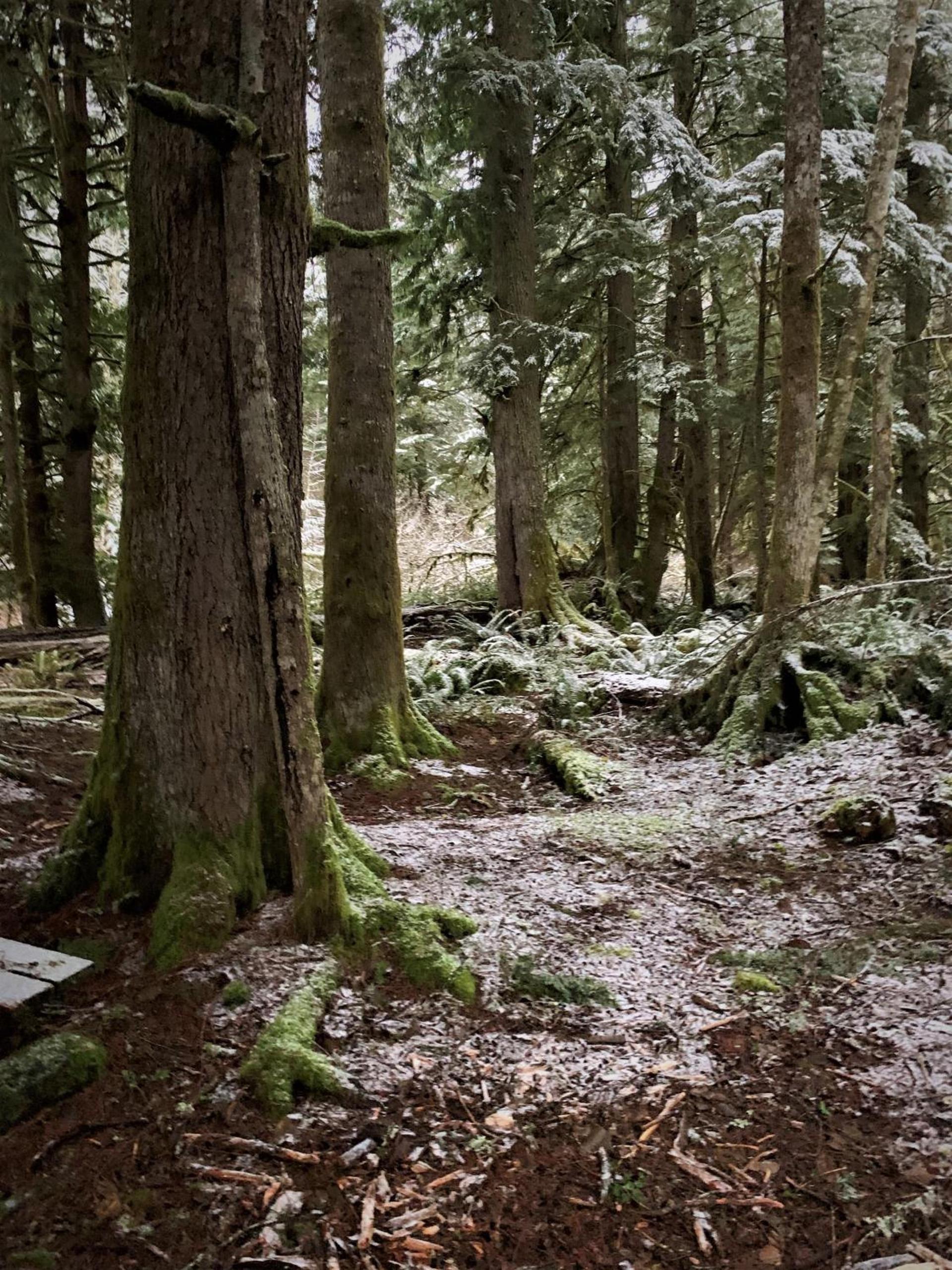 Alexander's Lodge photo 3