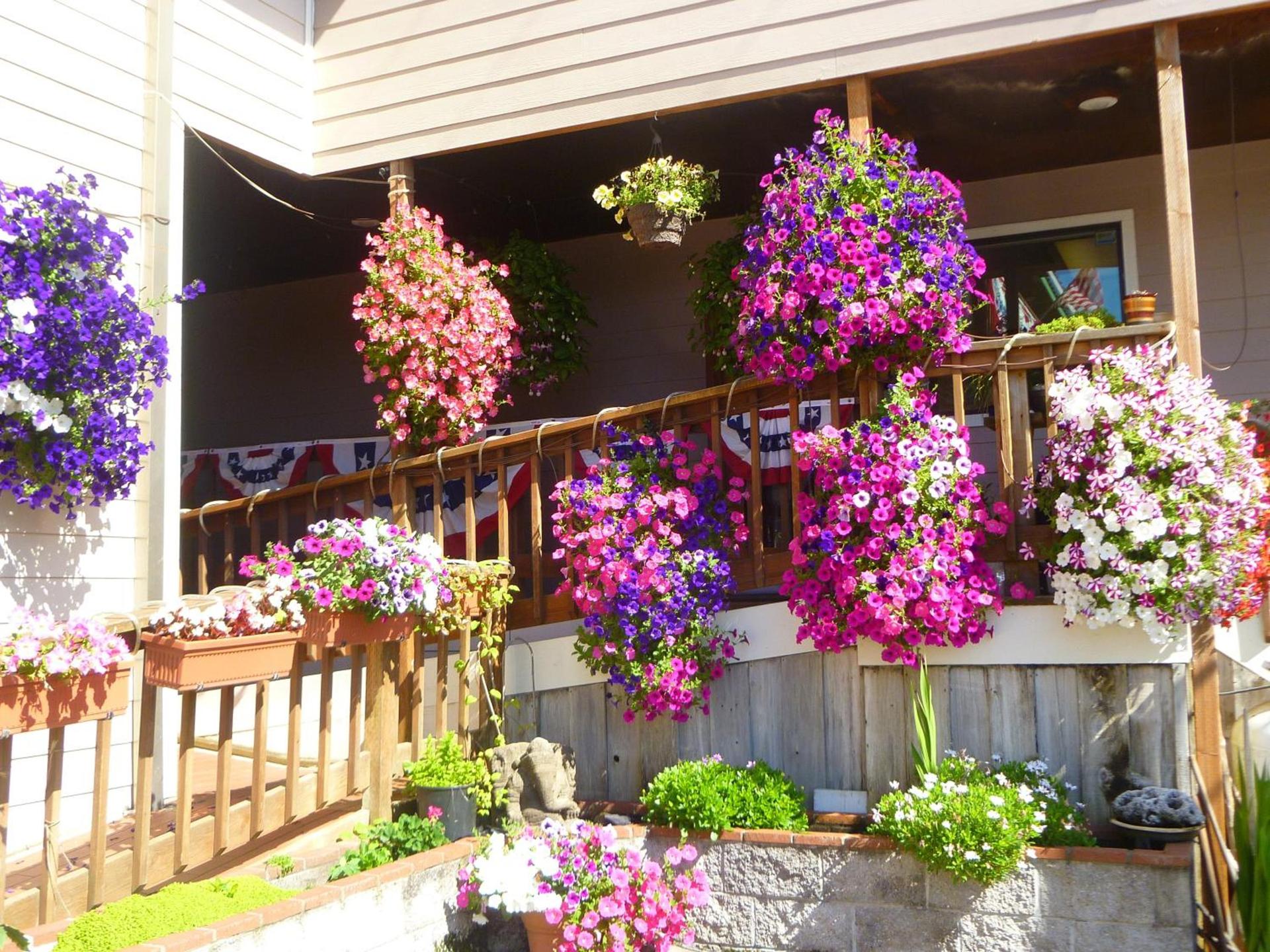 Tradewinds Motel photo 30