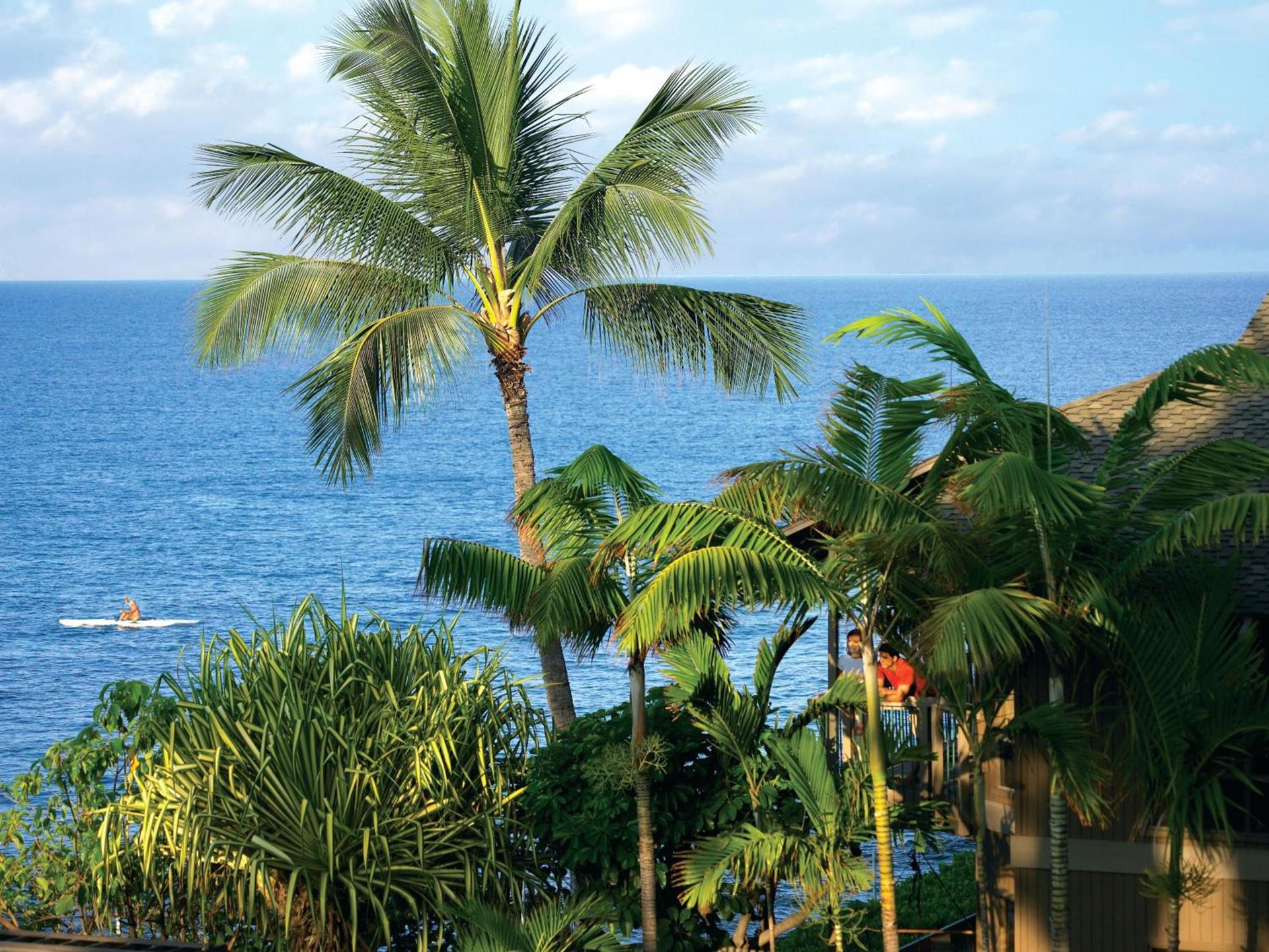 Castle Kanaloa at Kona photo 40