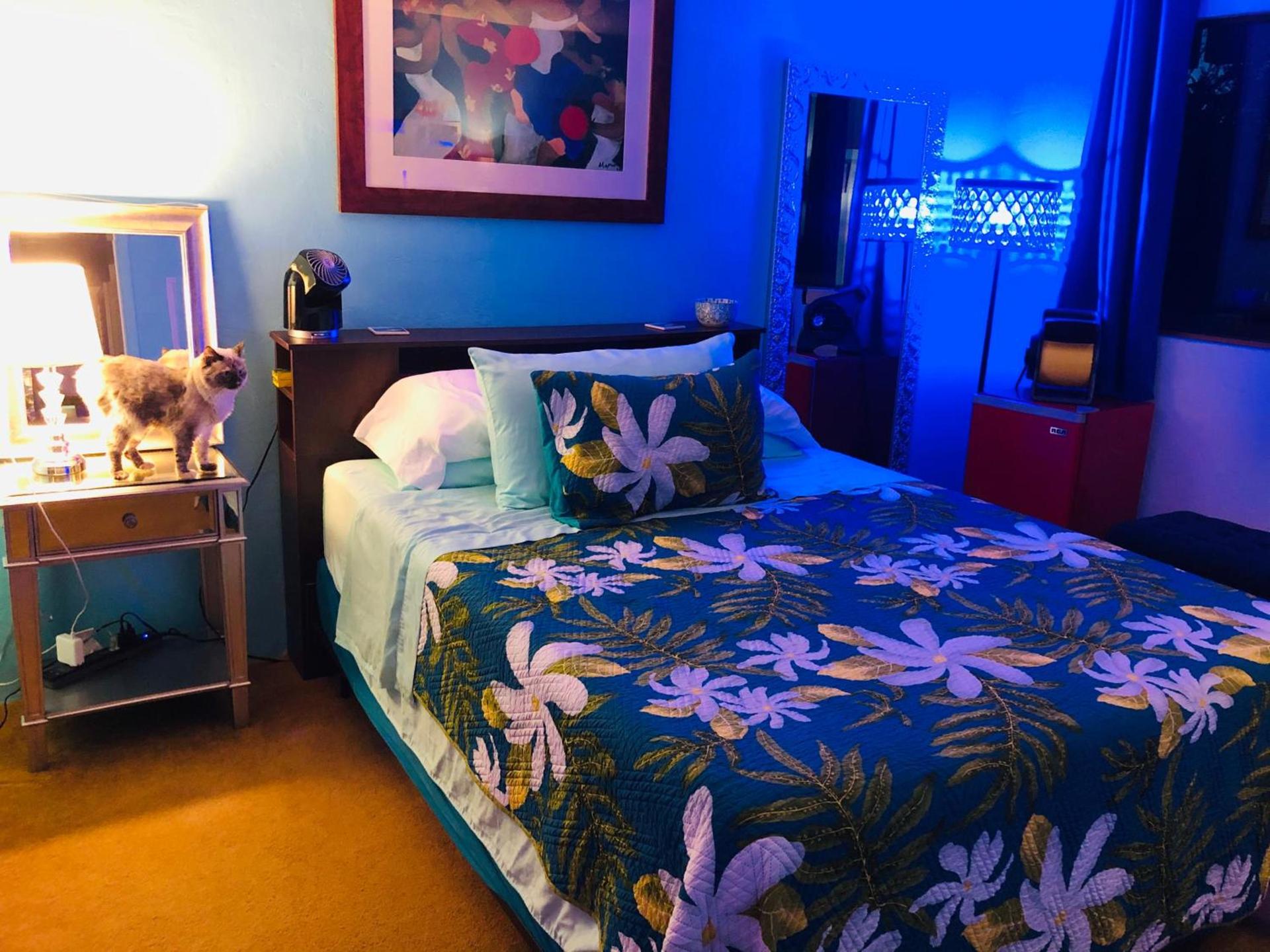 Kona Magic Honu Room photo 11