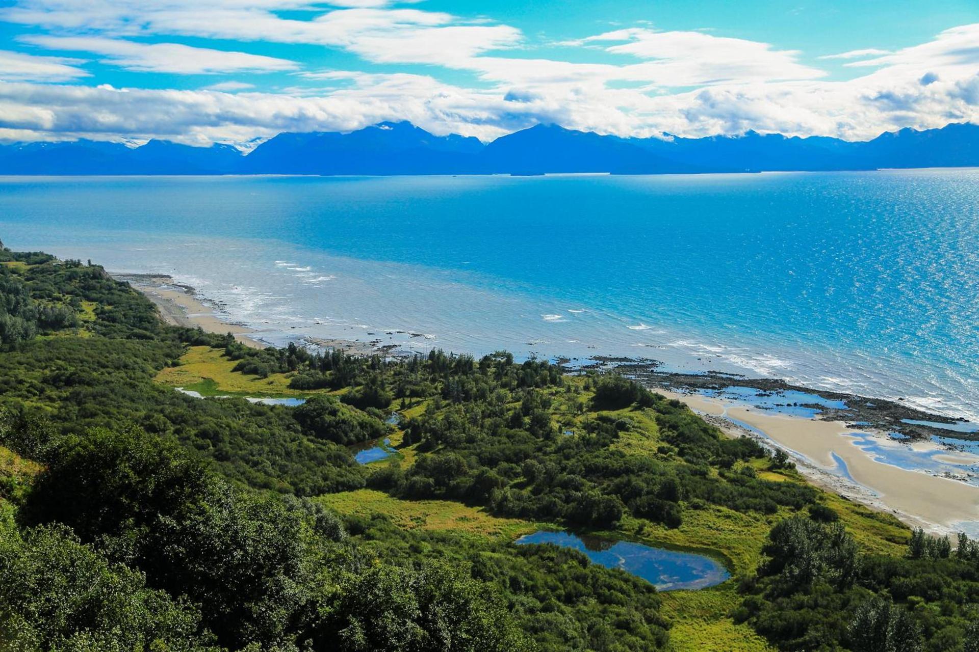 Kenai Peninsula Suites photo 39