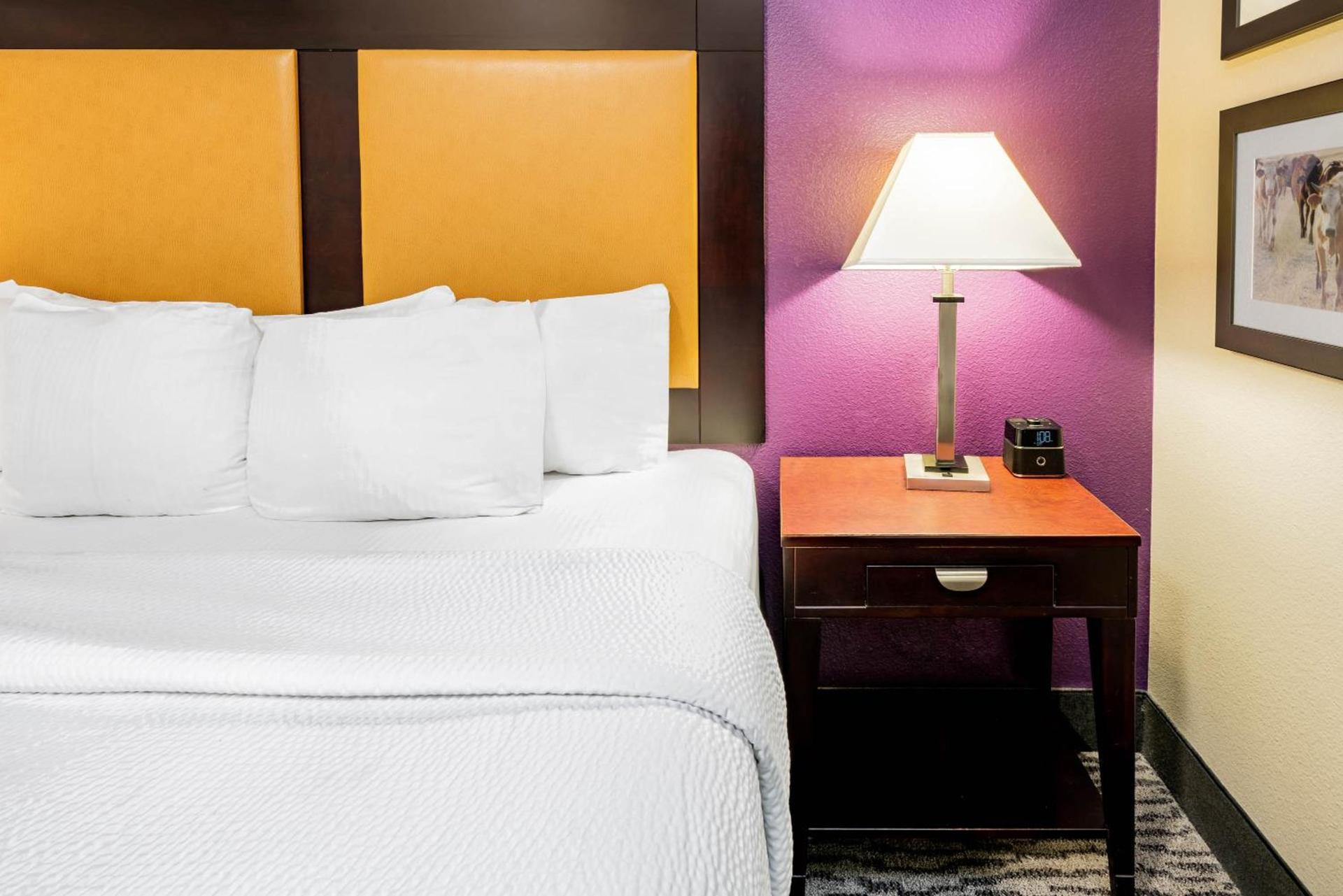 La Quinta by Wyndham DFW Airport West - Bedford photo 16