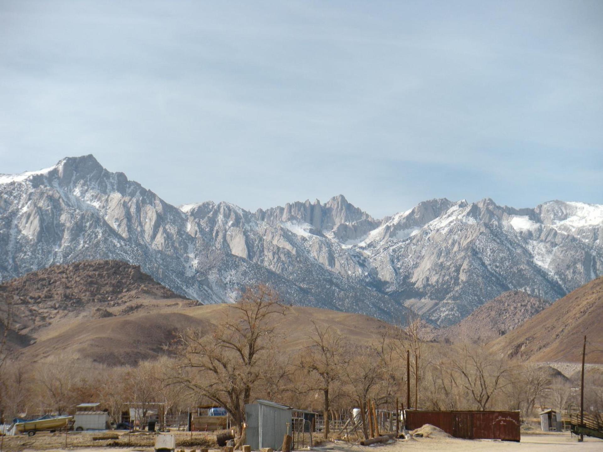 Lone Pine Budget Inn photo 9