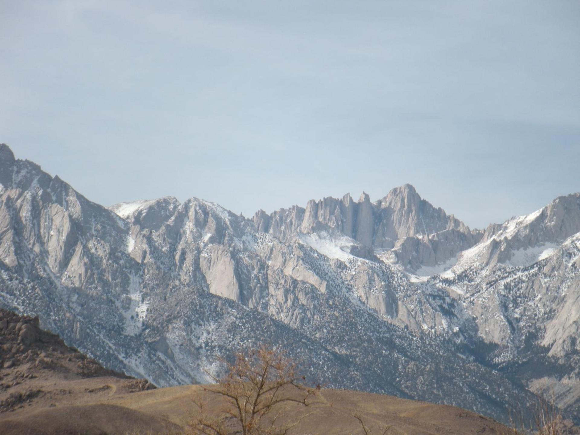 Lone Pine Budget Inn photo 27