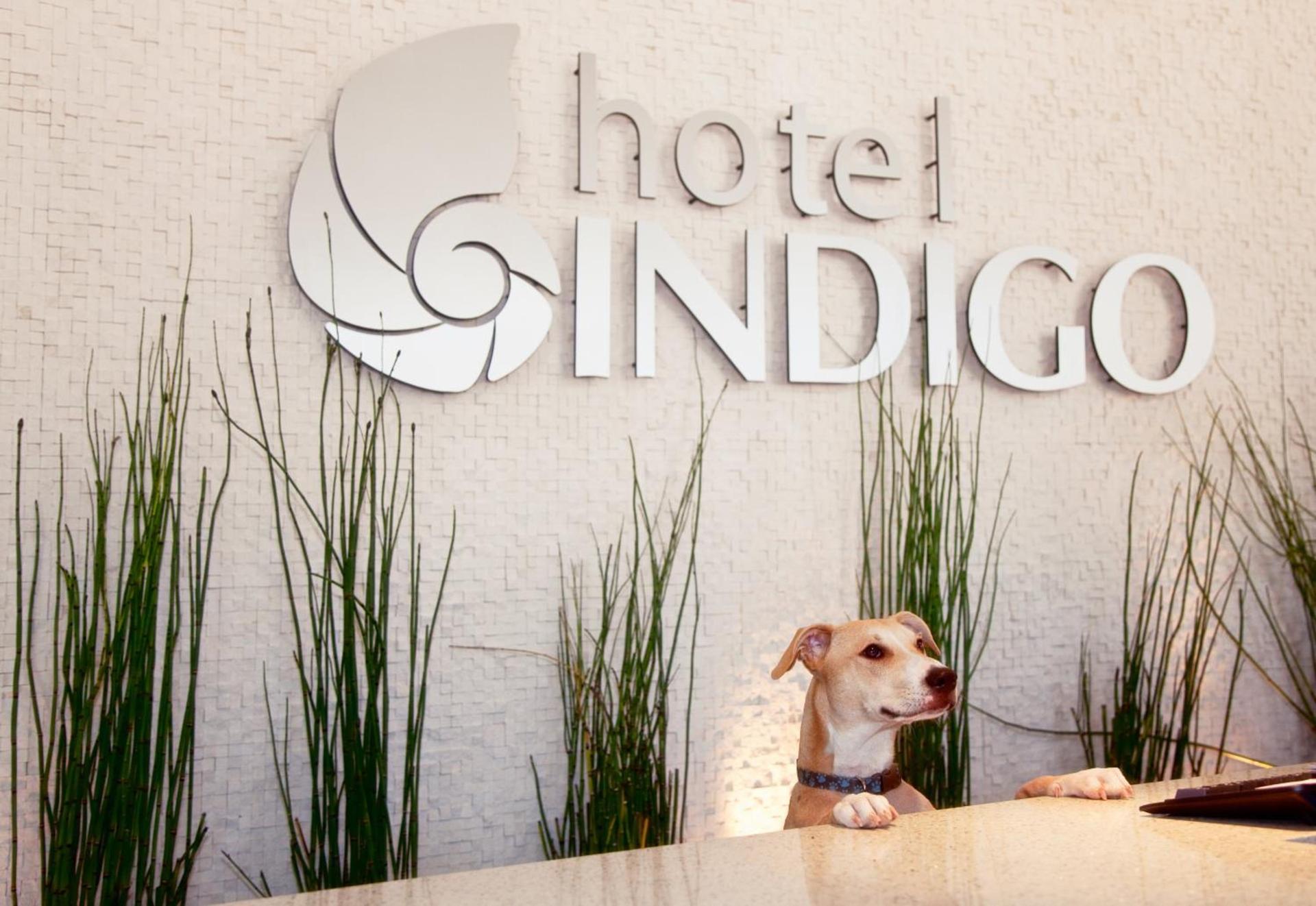Hotel Indigo San Diego - Gaslamp Quarter by IHG photo 24