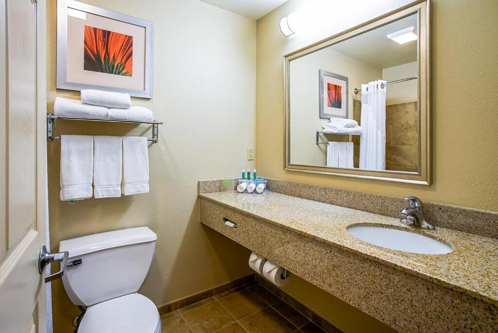 Holiday Inn Express & Suites Indianapolis North - Carmel by IHG photo 3