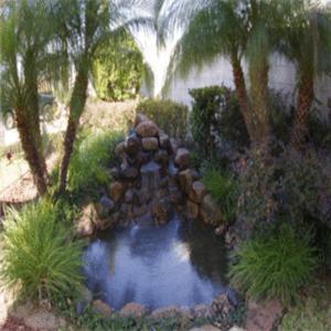 Americas Best Value Platinum Inn & Suites photo 23