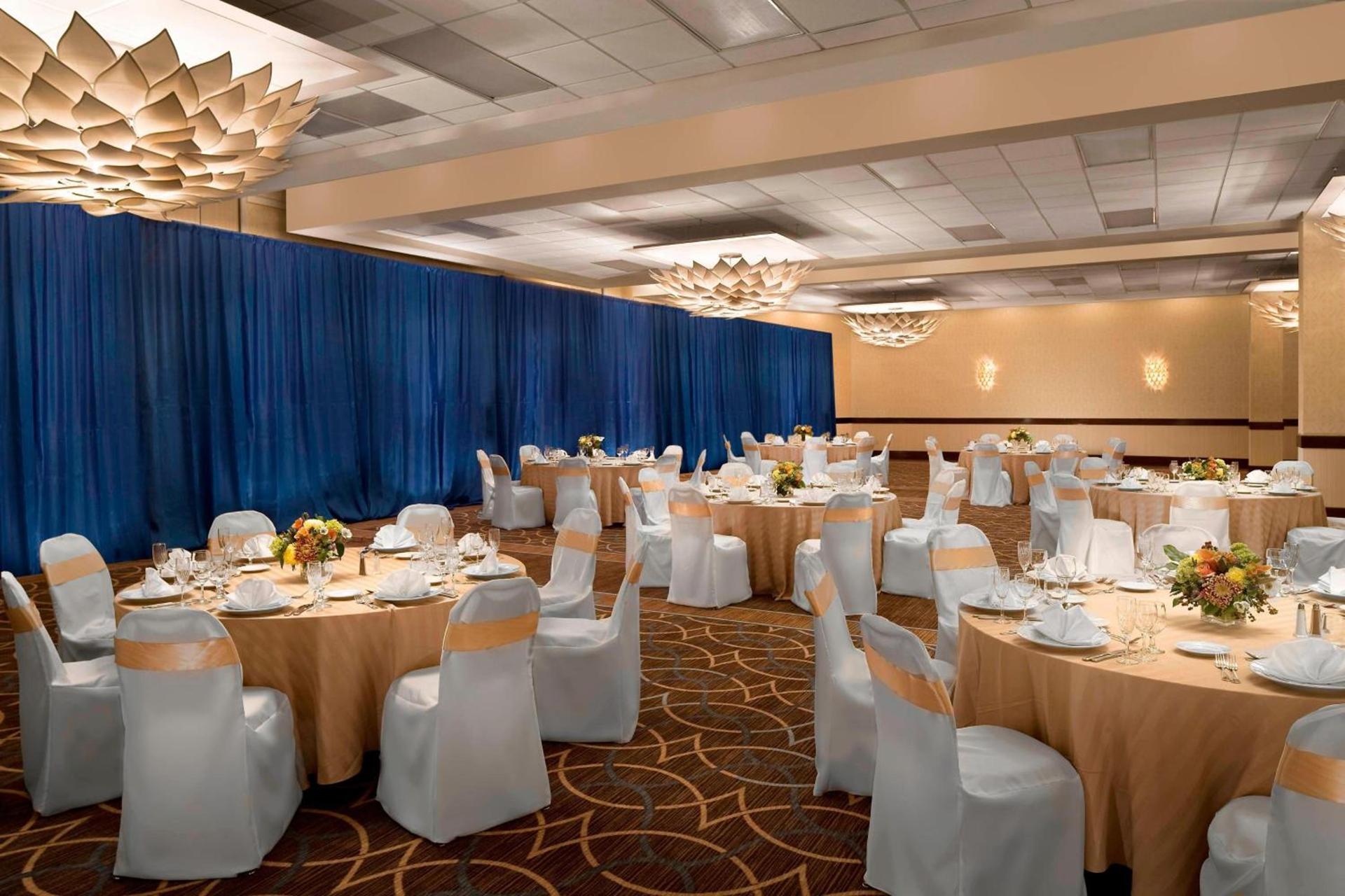 The Stamford Hotel photo 30