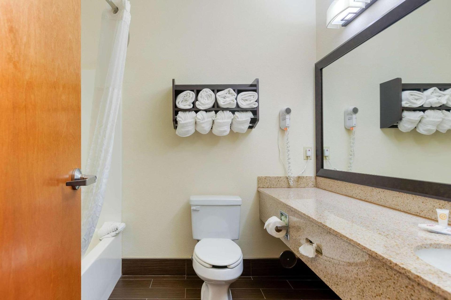 Comfort Suites Stevensville - St Joseph photo 5