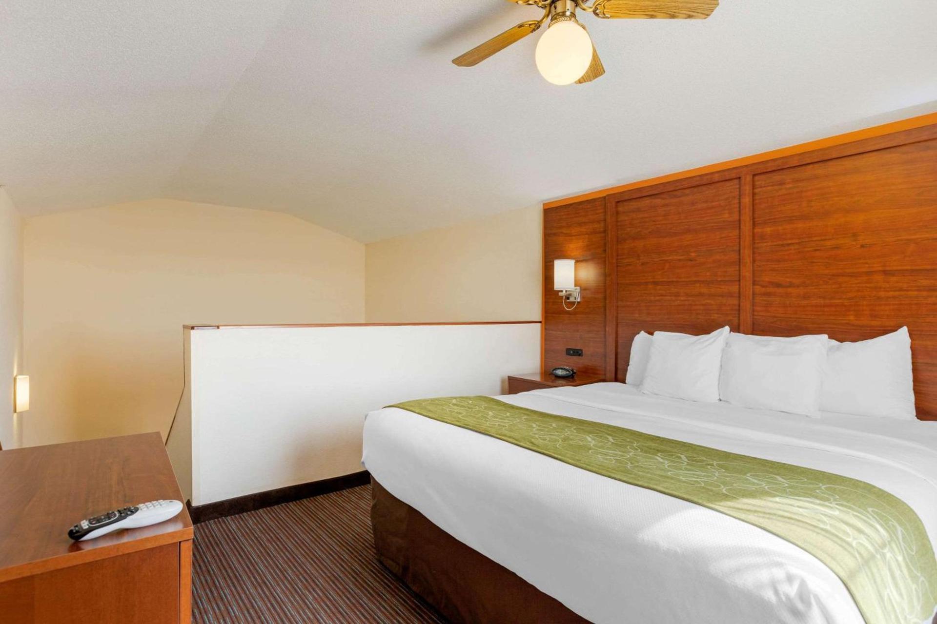 Comfort Suites Stevensville - St Joseph photo 2
