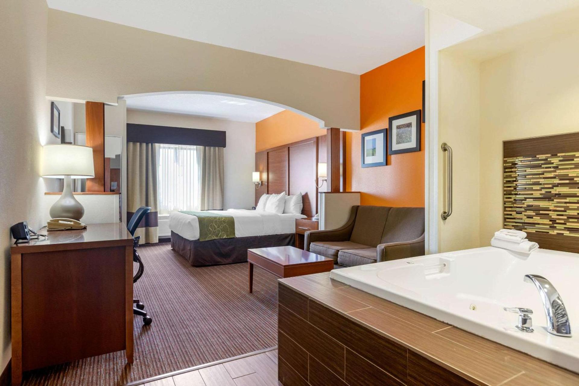 Comfort Suites Stevensville - St Joseph photo 10