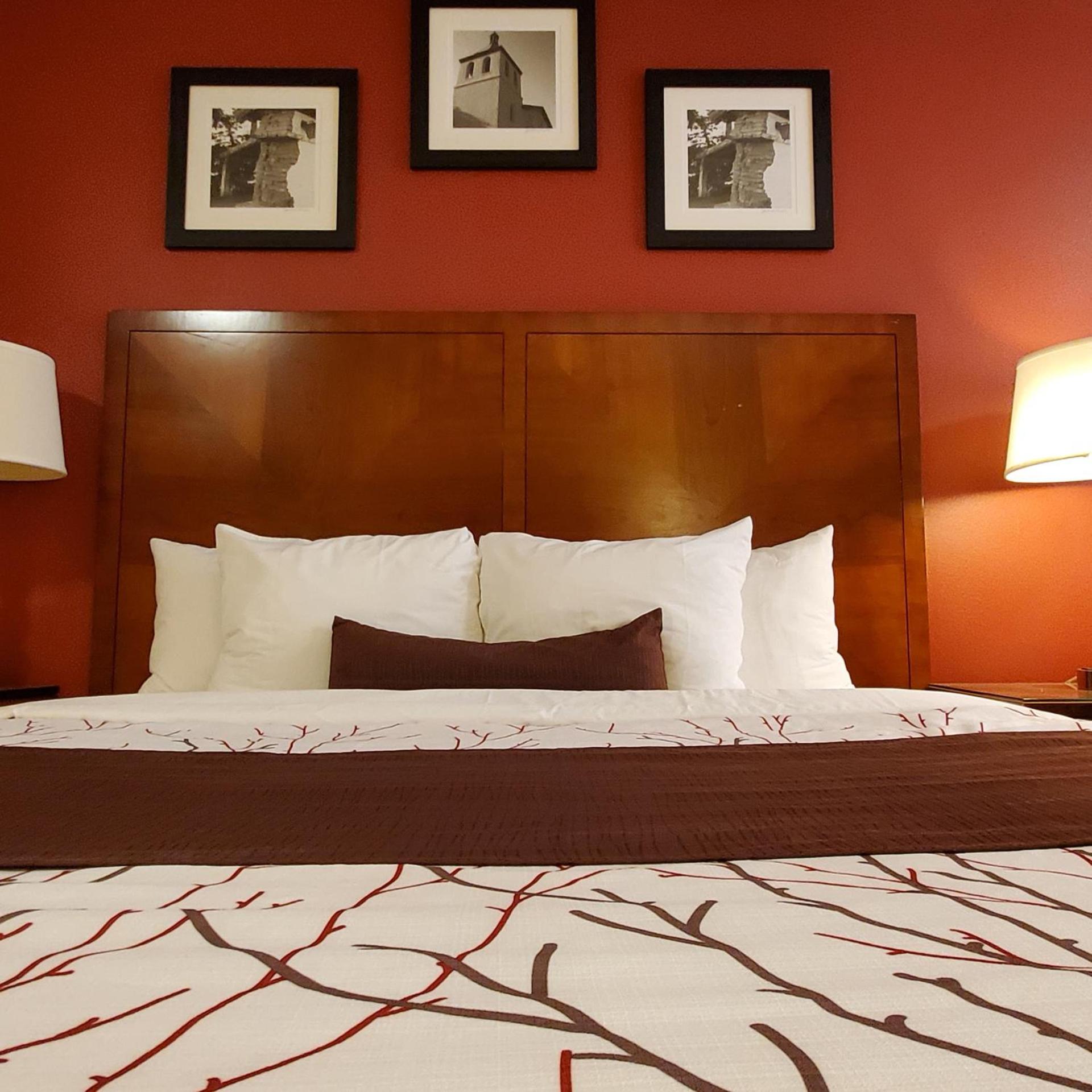 Apple Inn Motel photo 9