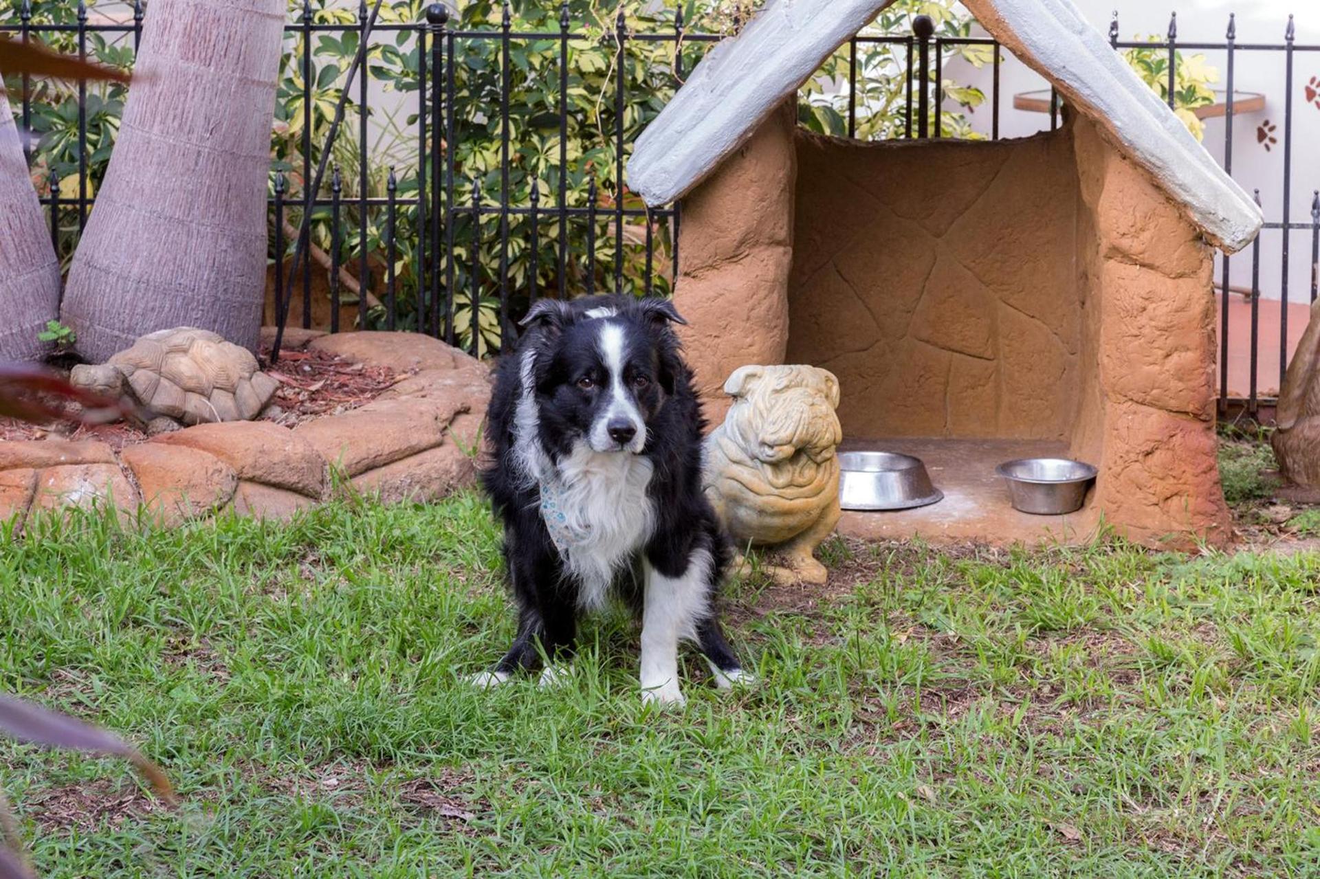 Richard's Pet Friendly Motel photo 4