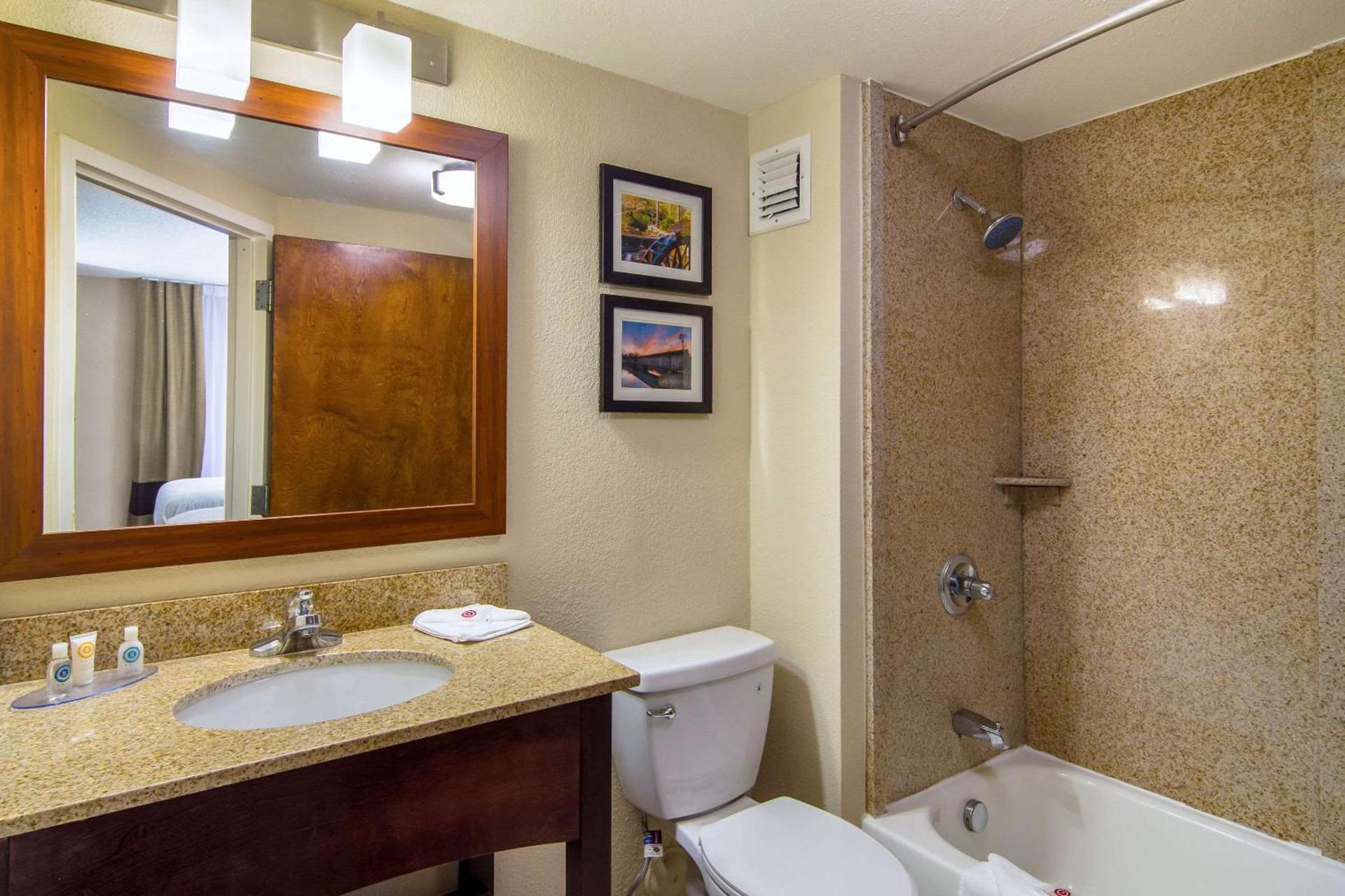 Comfort Inn Acworth - Kennesaw Northwest photo 19