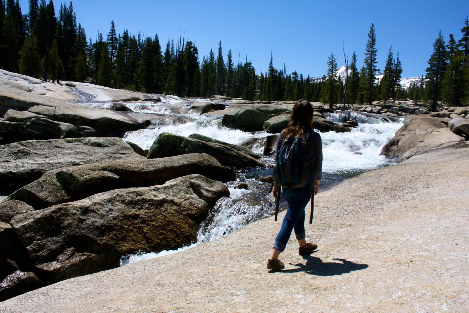 Evergreen Lodge at Yosemite photo 8