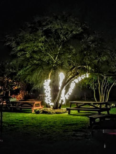 Top of the Hill RV Resort & Cabins photo 28