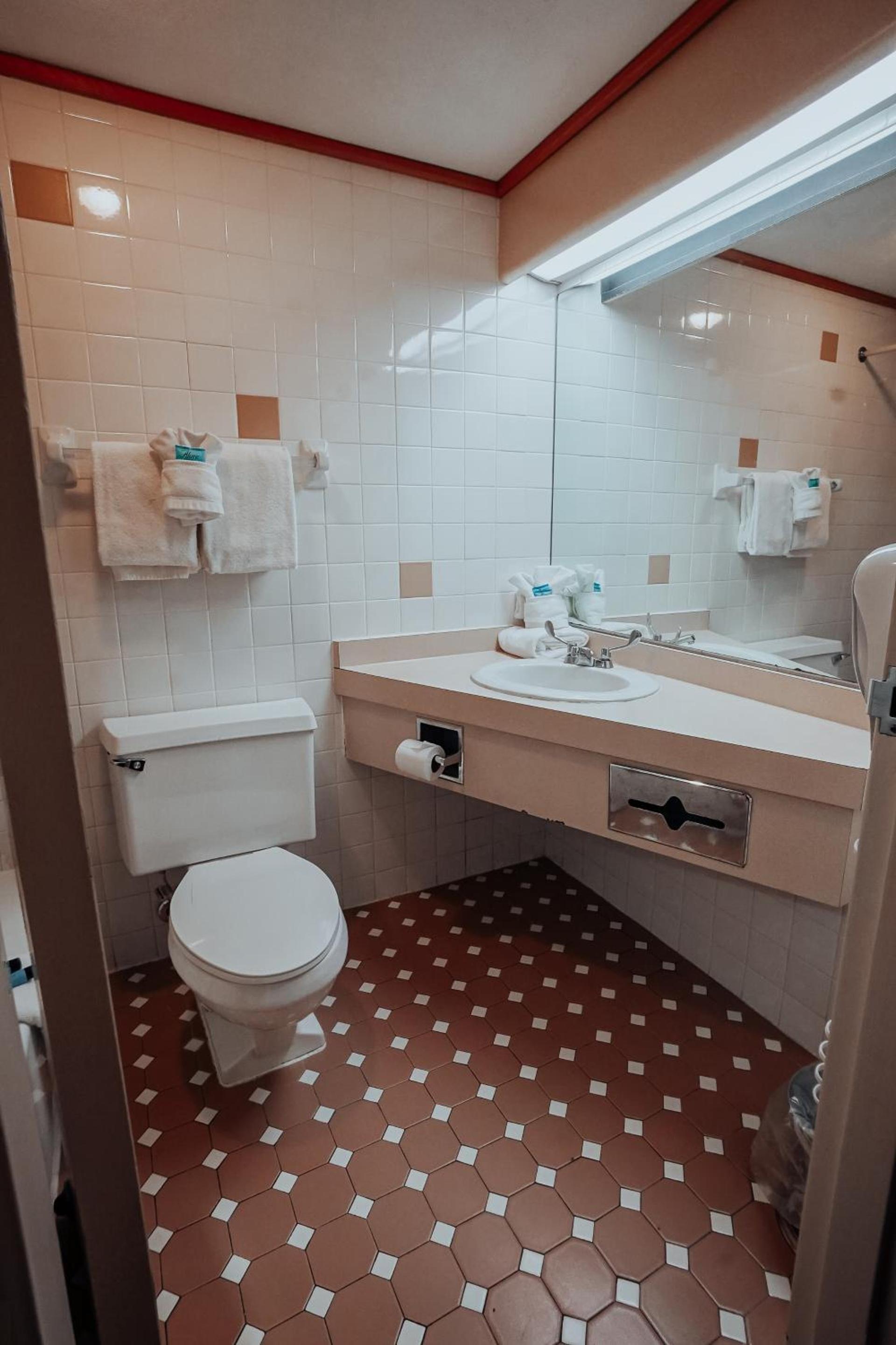 Lamplighter Inn and Suites - North photo 48