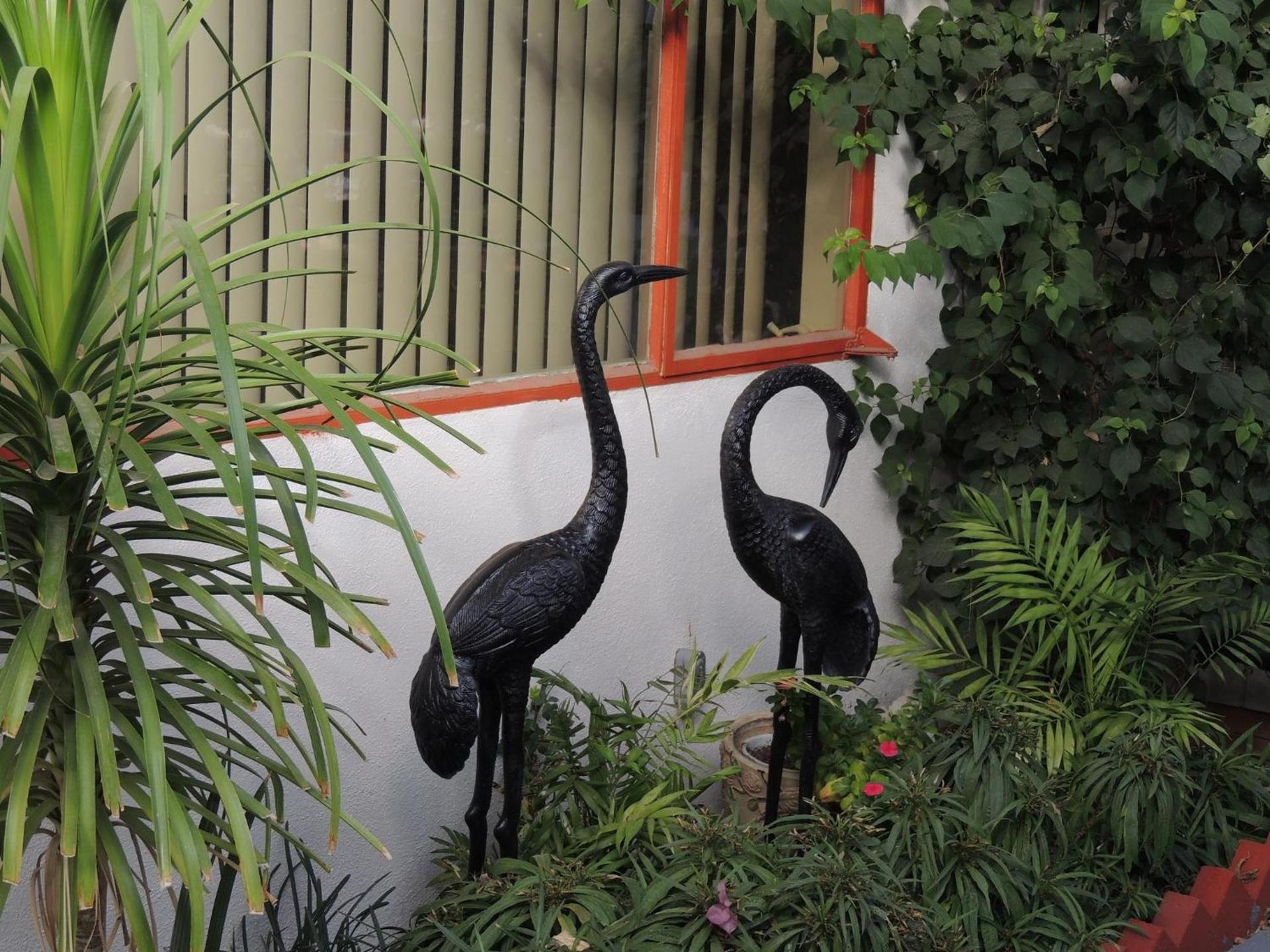 Casa Larrea Inn photo 7