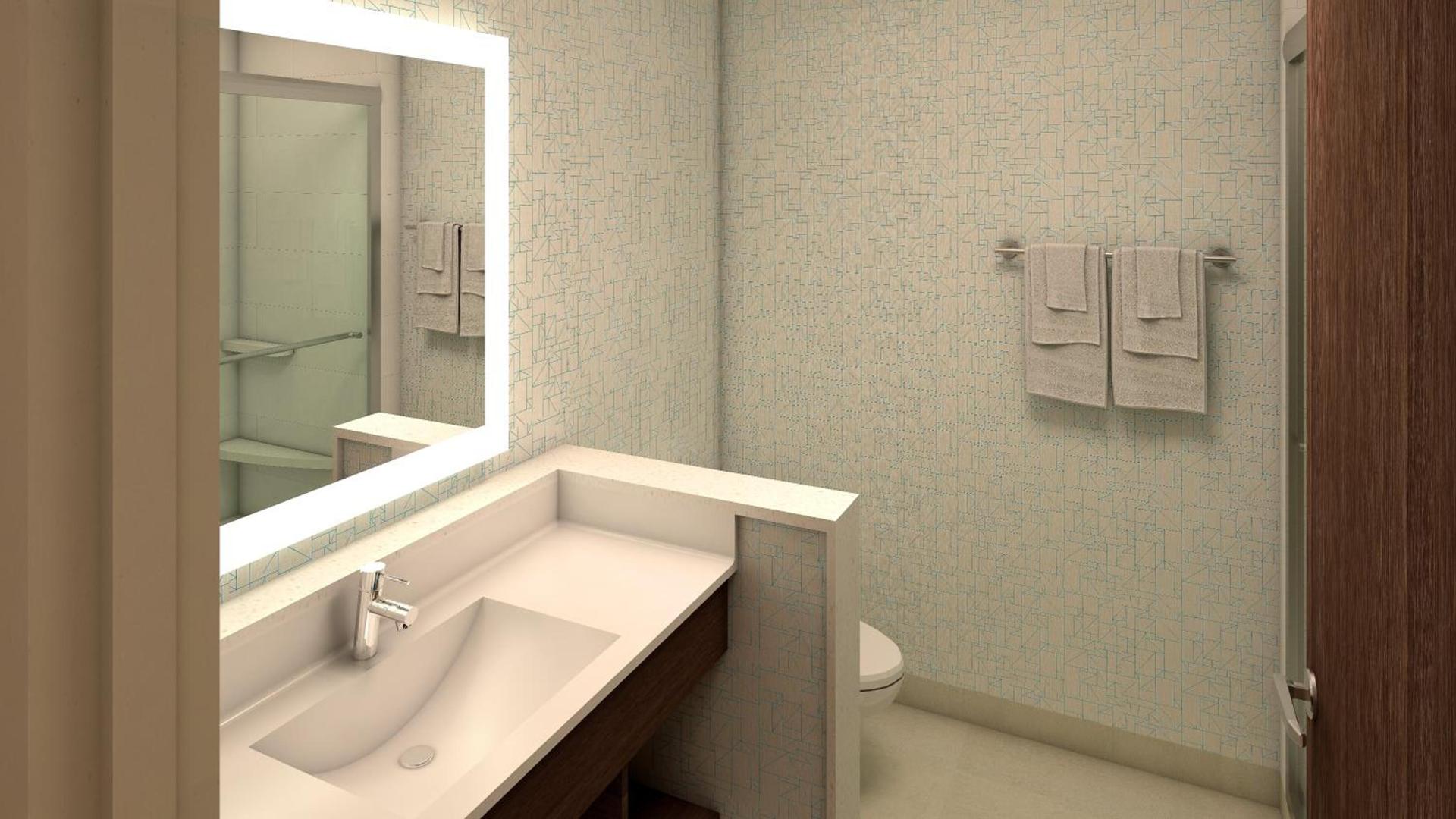 Holiday Inn Express & Suites Dallas North - Addison by IHG photo 31