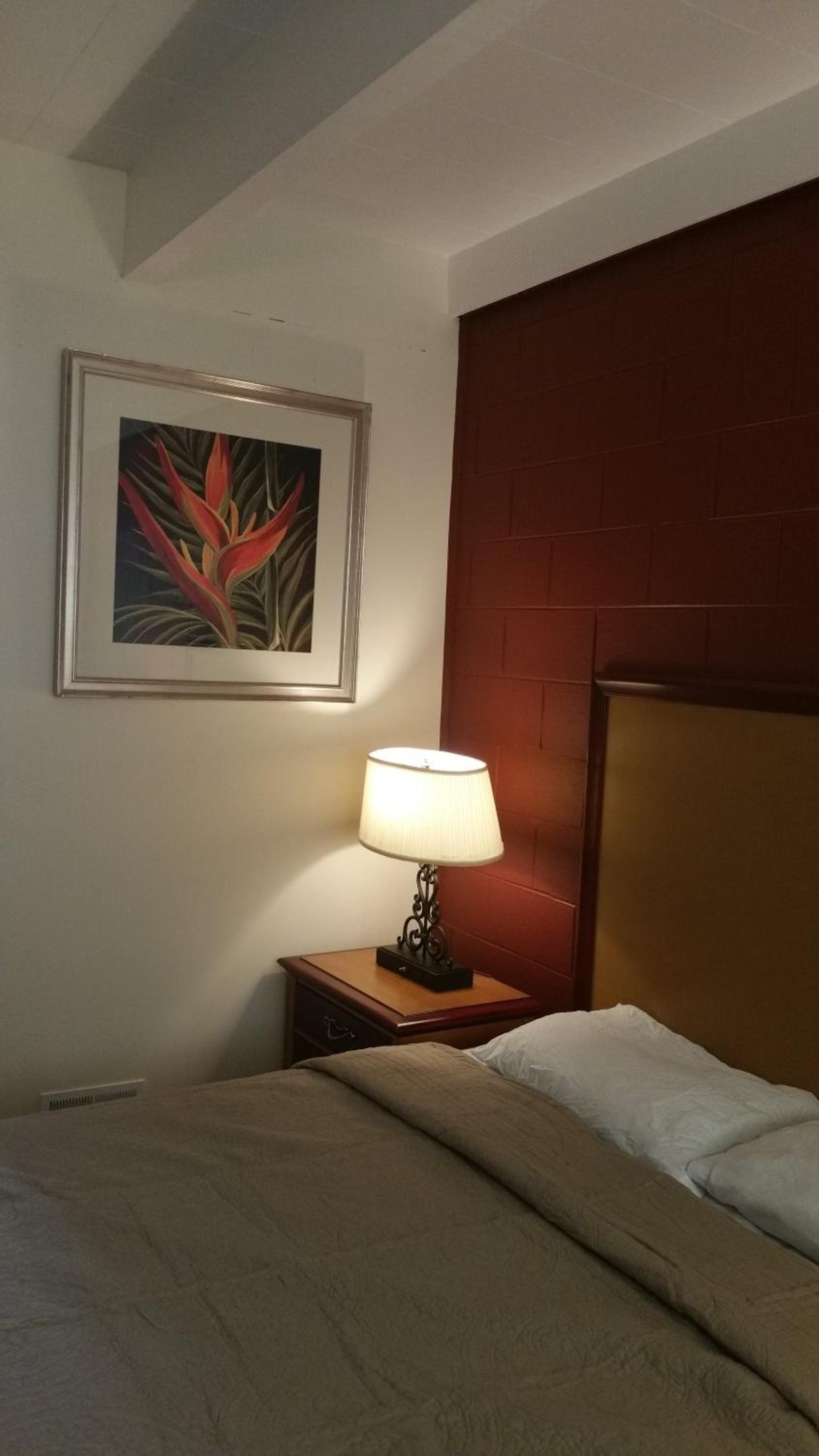 Thunder Bird Motel photo 37