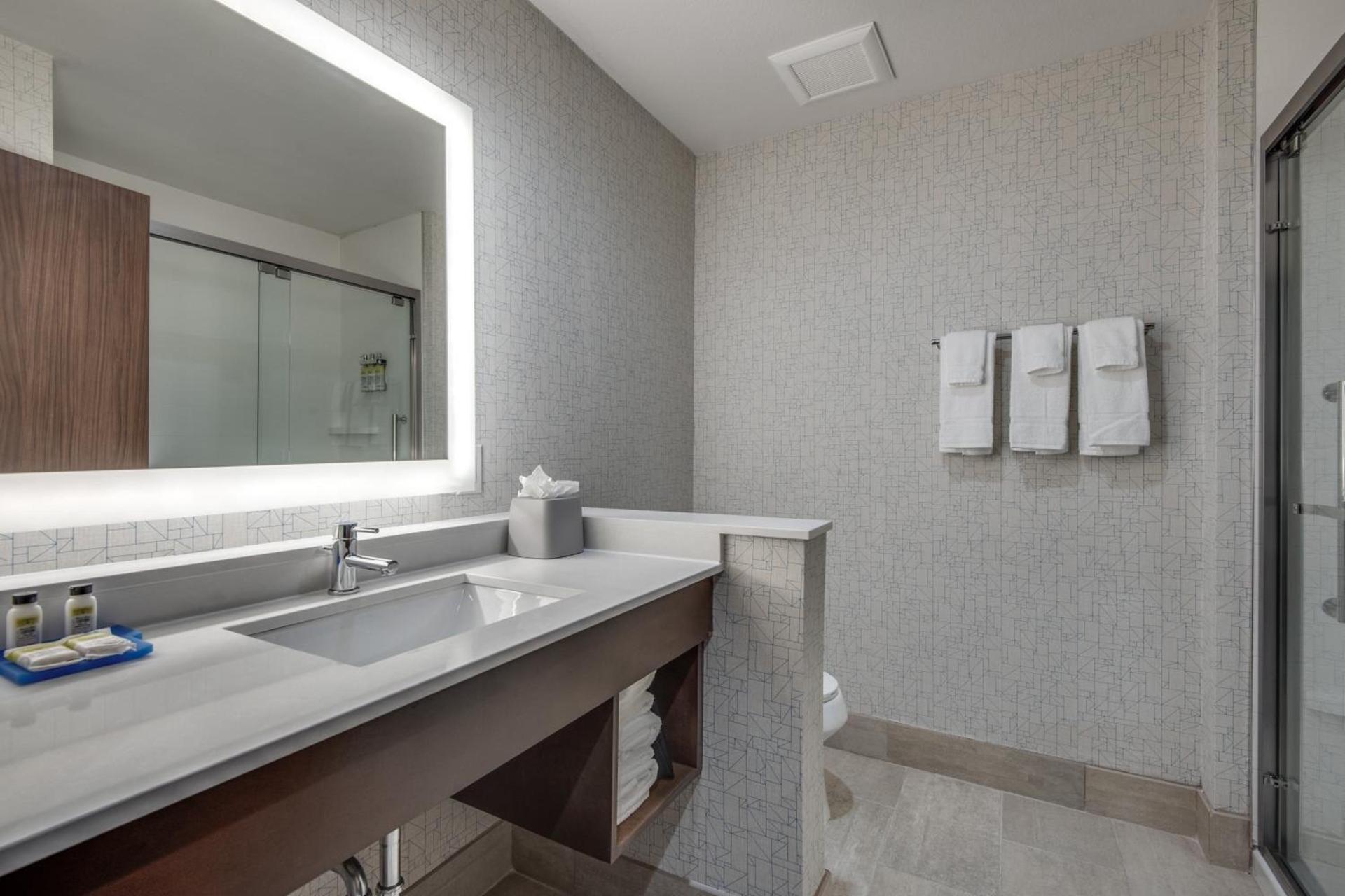 Holiday Inn Express & Suites Dallas North - Addison by IHG photo 47