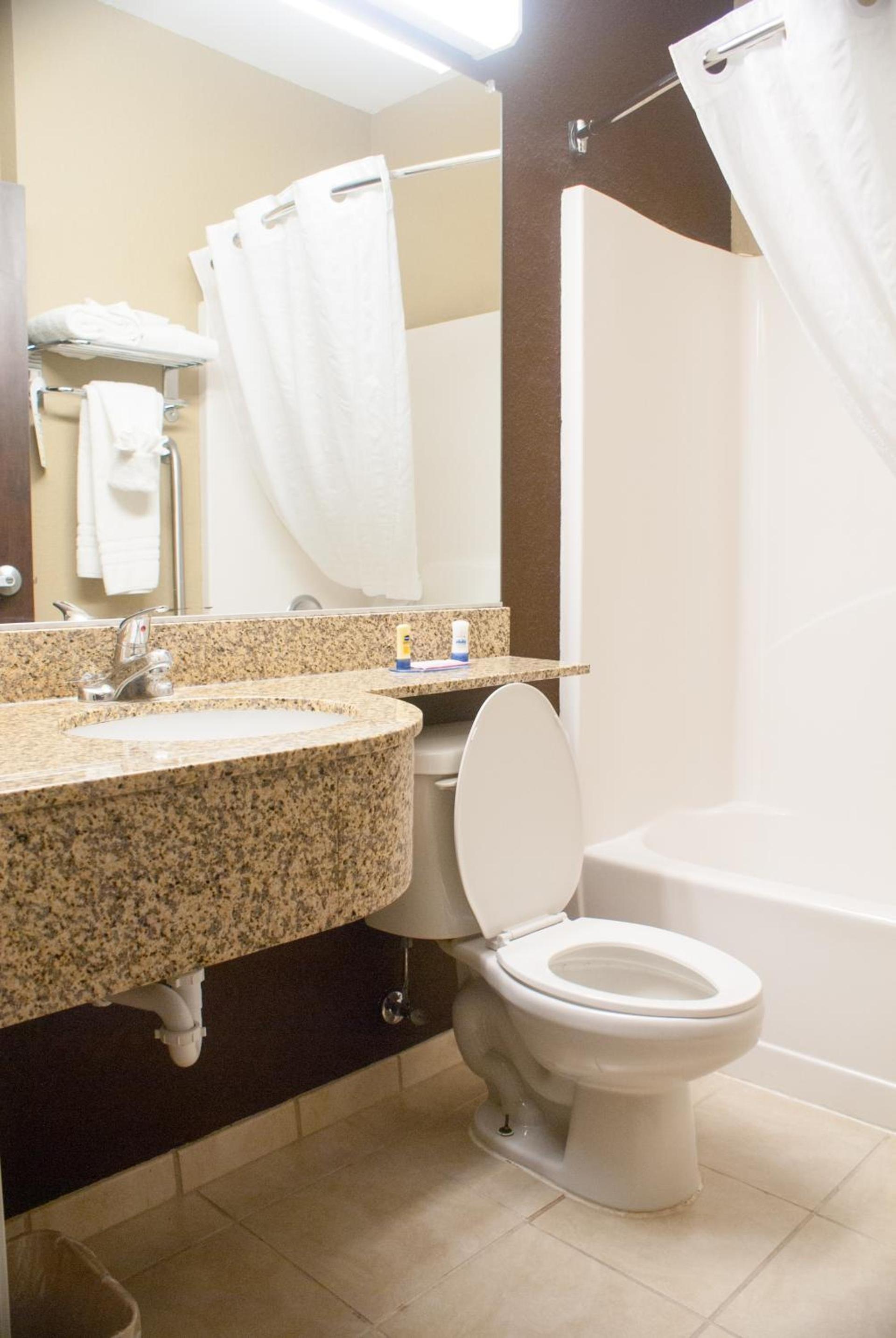 Microtel Inn & Suites by Wyndham Jacksonville Airport photo 10