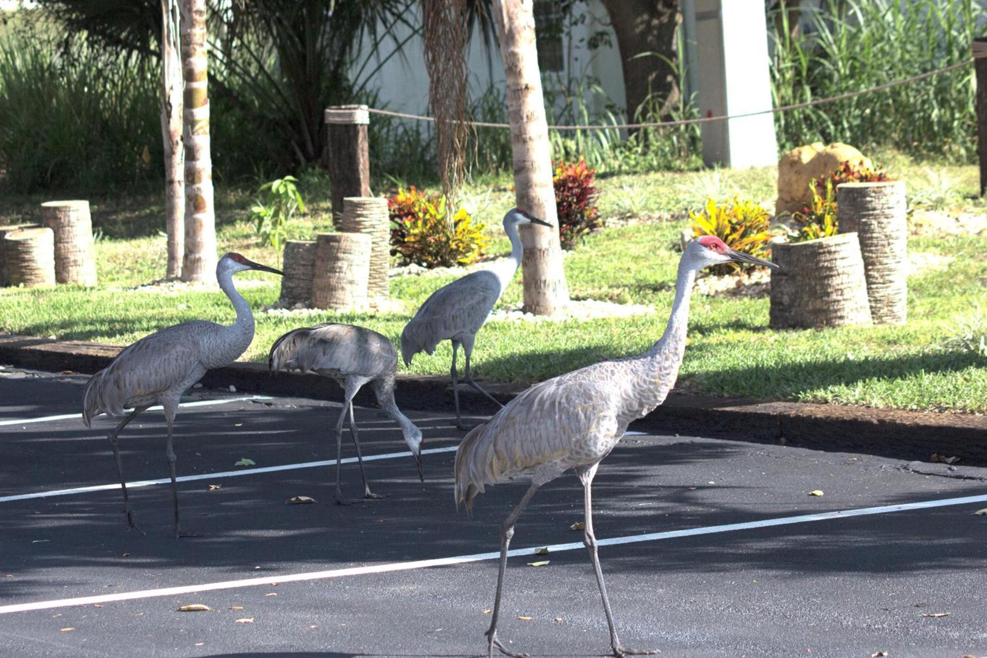 At Home Inn - Fort Pierce photo 23