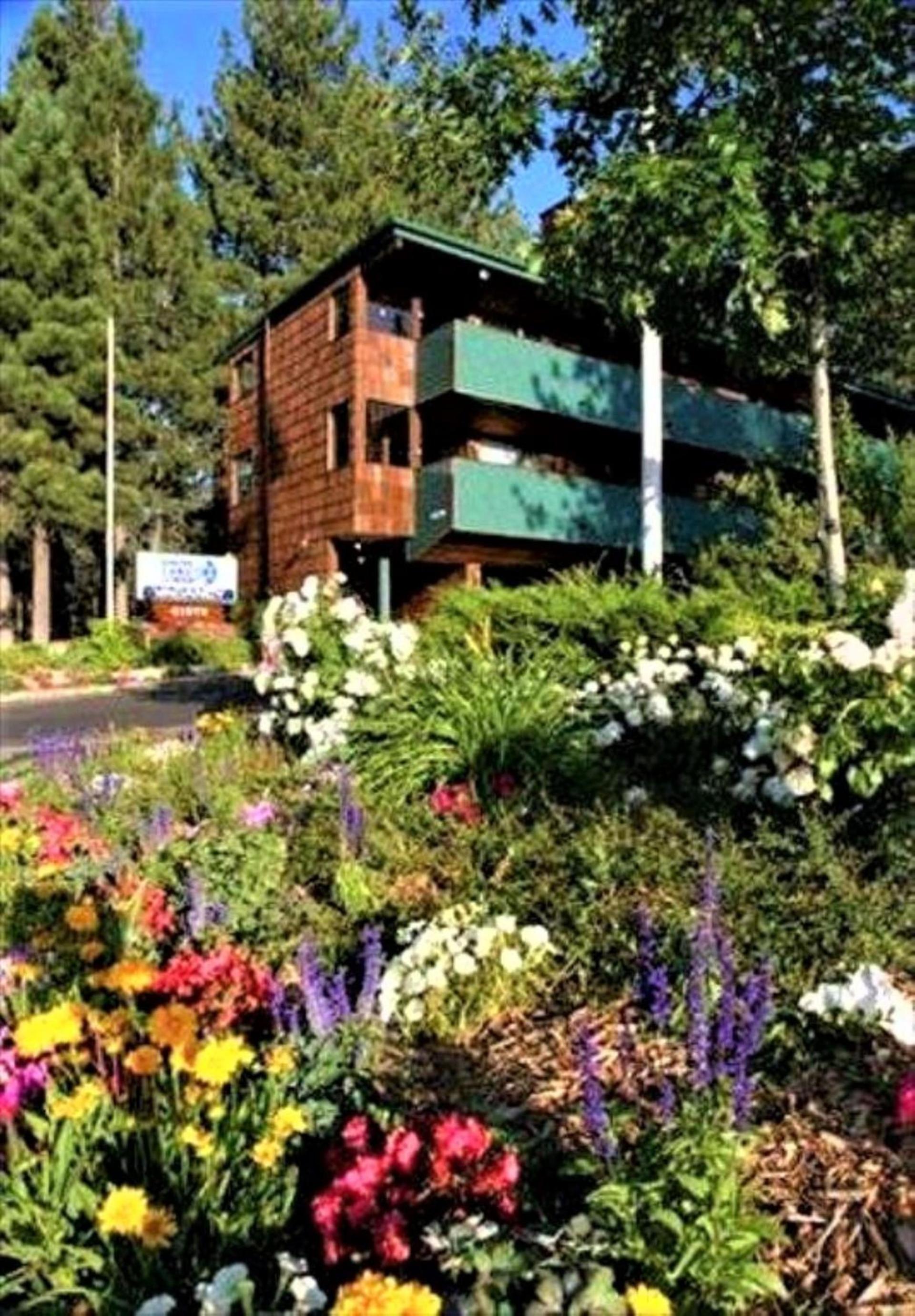 Snow Lake Lodge photo 17