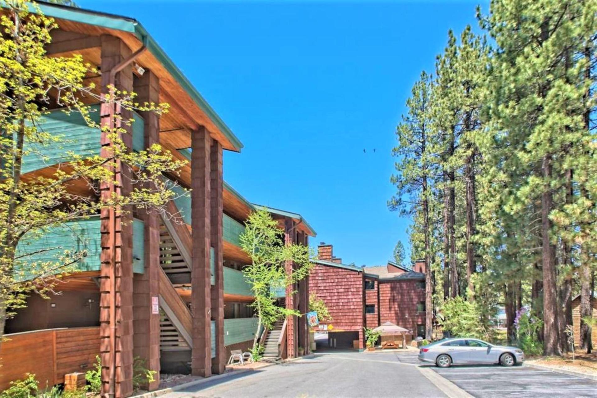 Snow Lake Lodge photo 18
