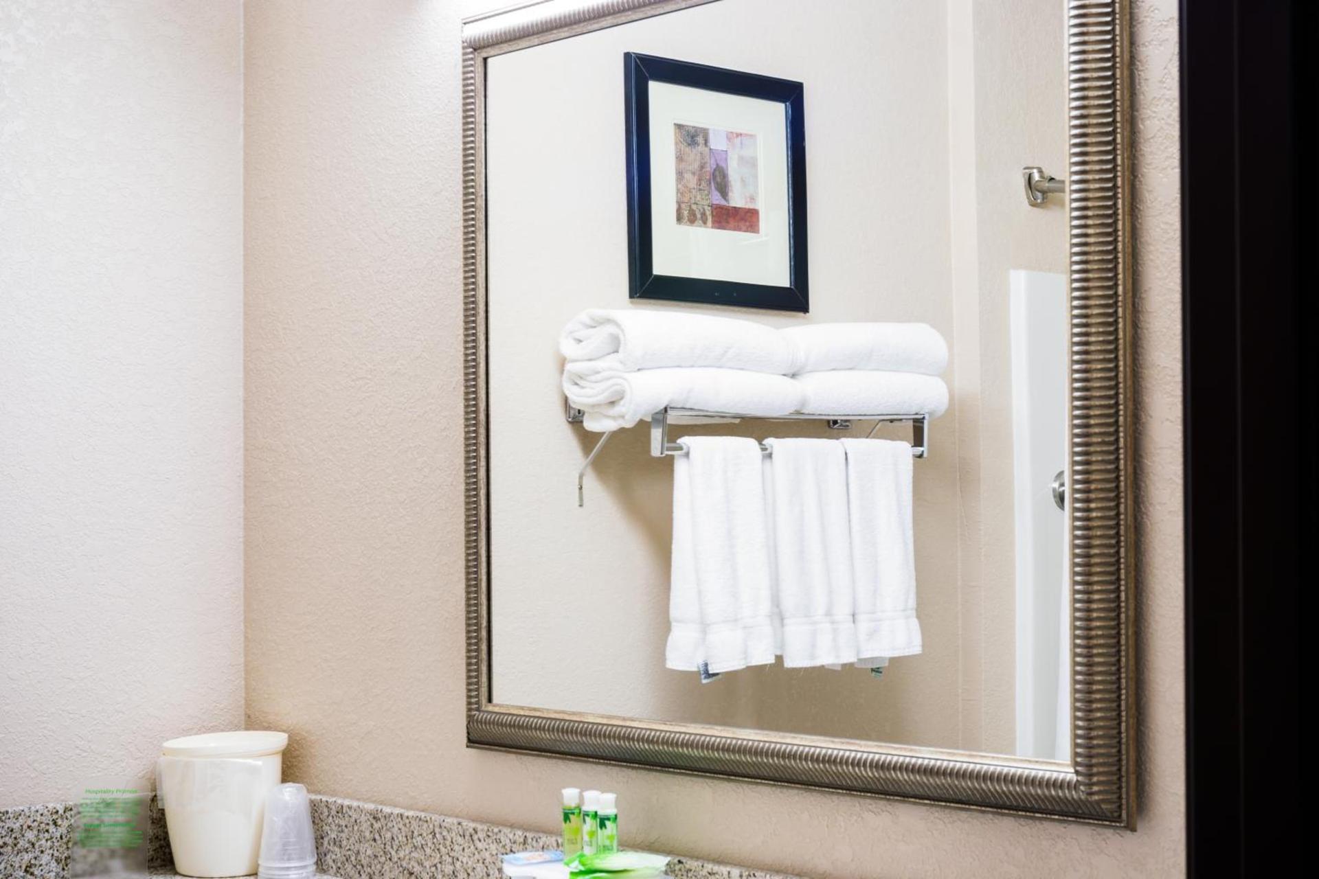 Holiday Inn Express Hotel & Suites Acme-Traverse City by IHG photo 7