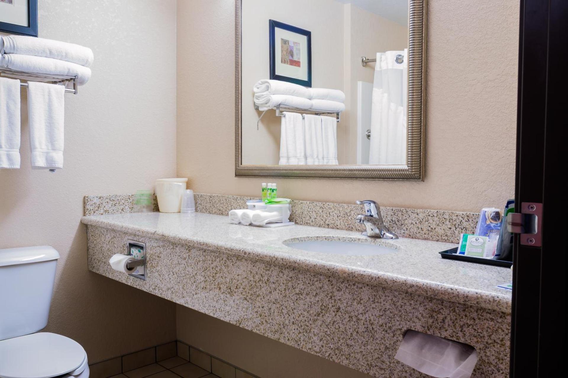 Holiday Inn Express Hotel & Suites Acme-Traverse City by IHG photo 6
