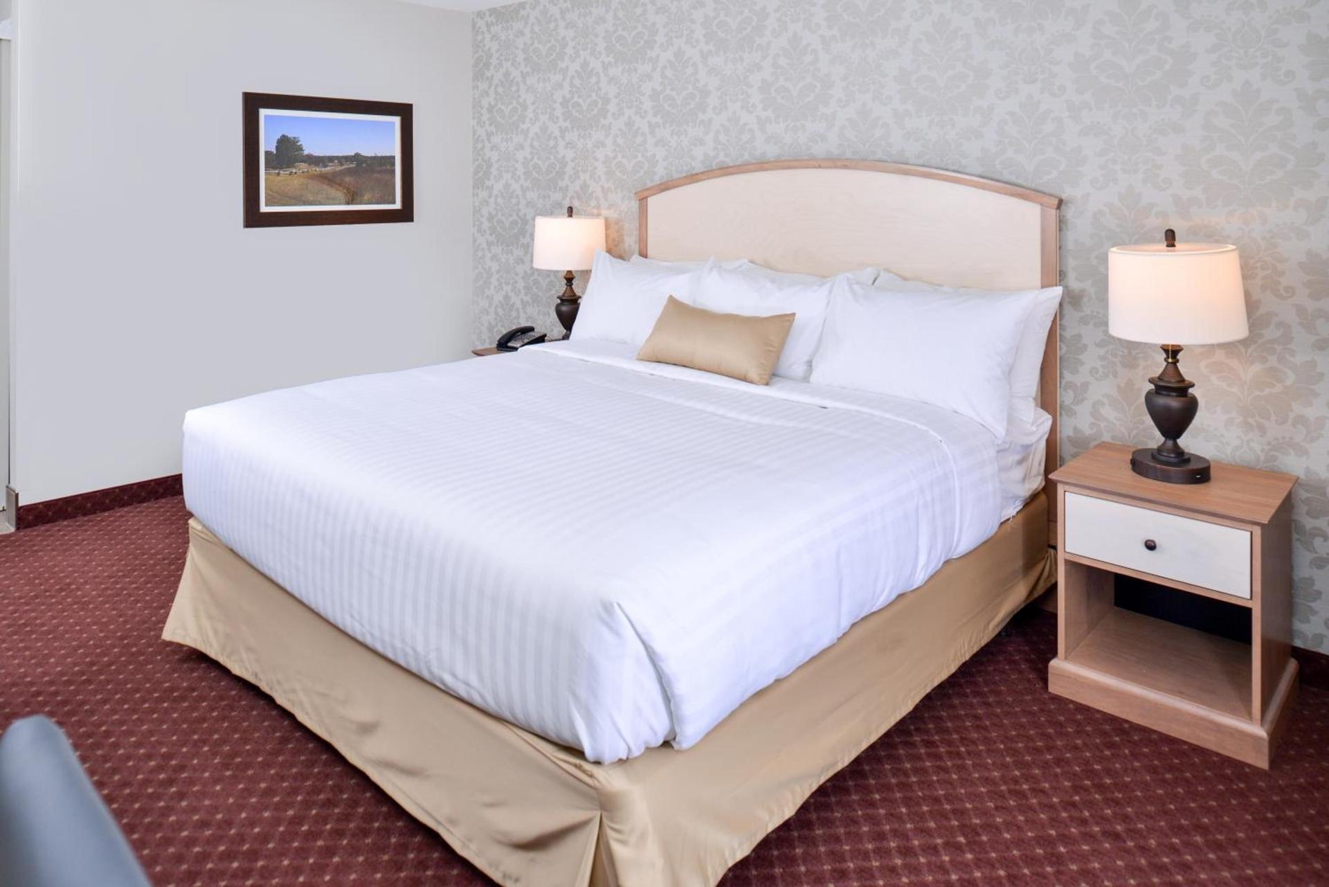Appomattox Inn and Suites photo 6