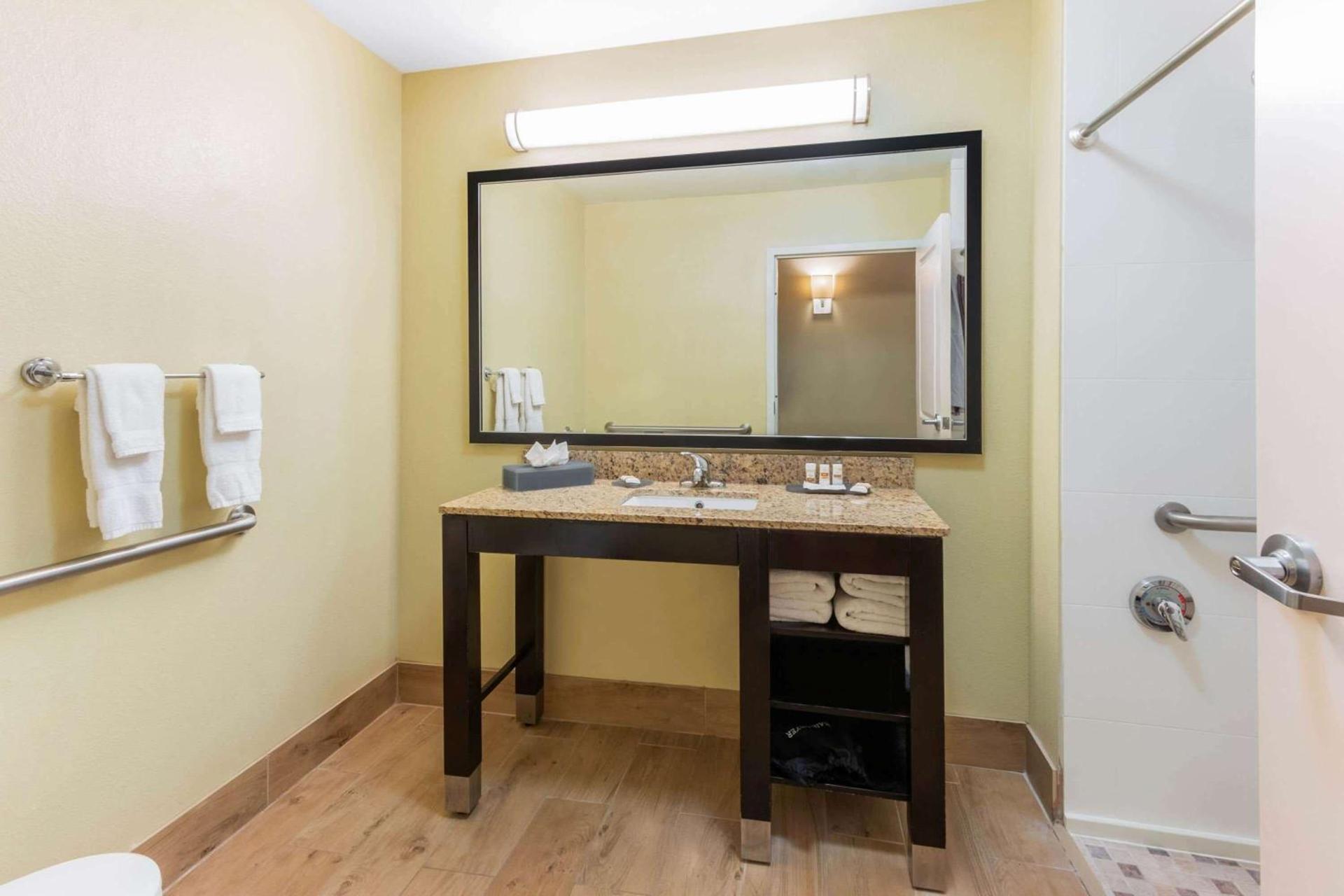 La Quinta by Wyndham Carlsbad photo 23
