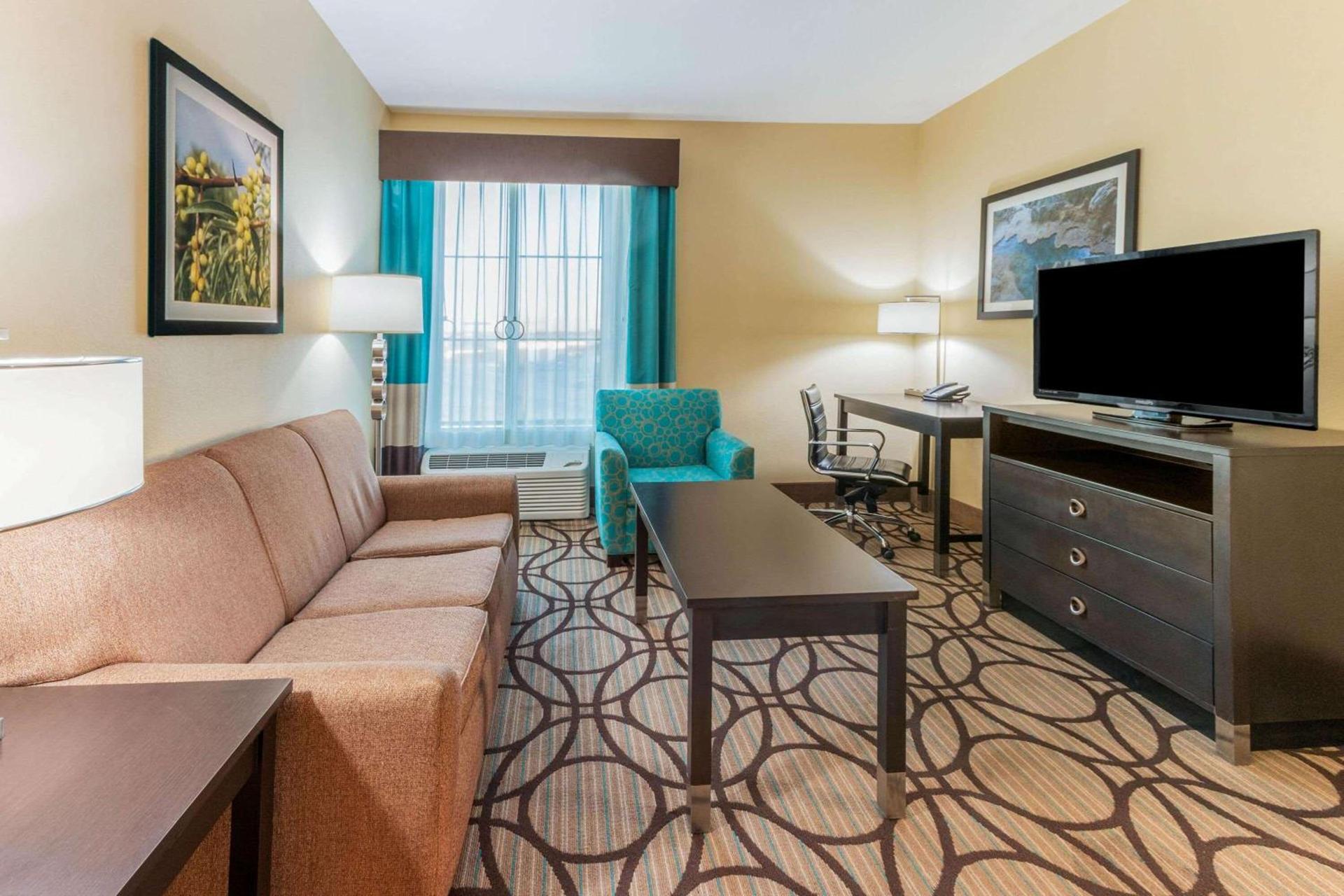 La Quinta by Wyndham Carlsbad photo 10