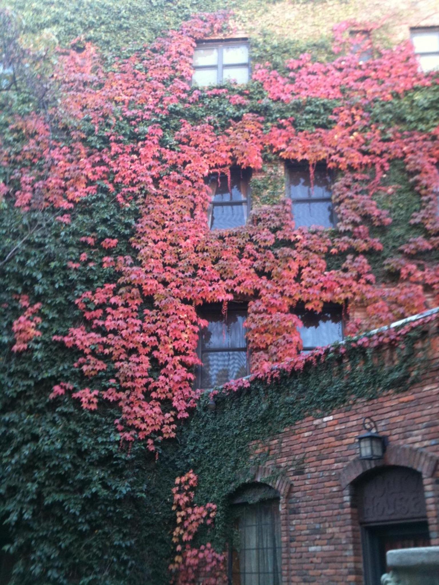 Historic Cary House Hotel photo 31