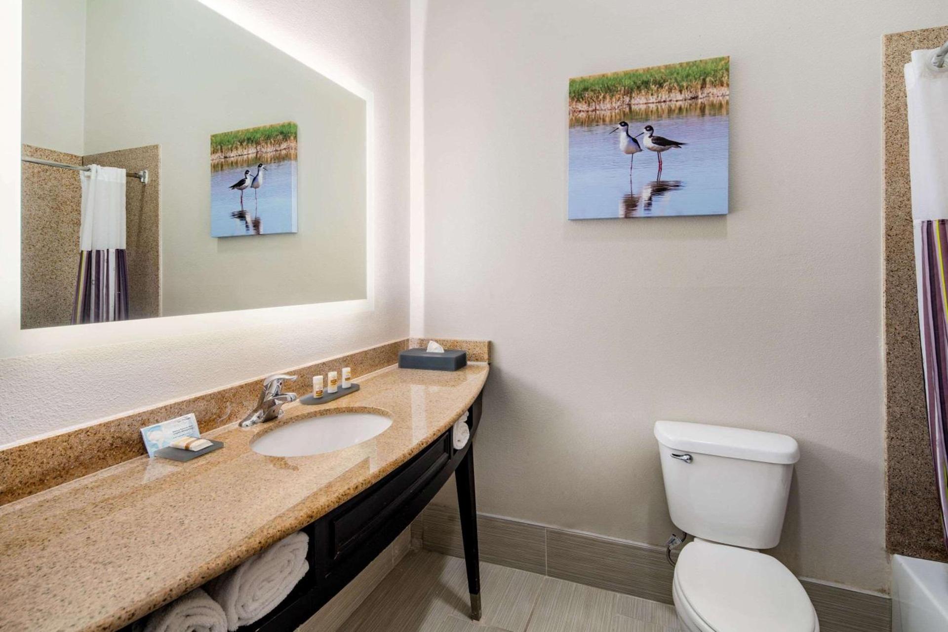 La Quinta by Wyndham Alamo-McAllen East photo 16