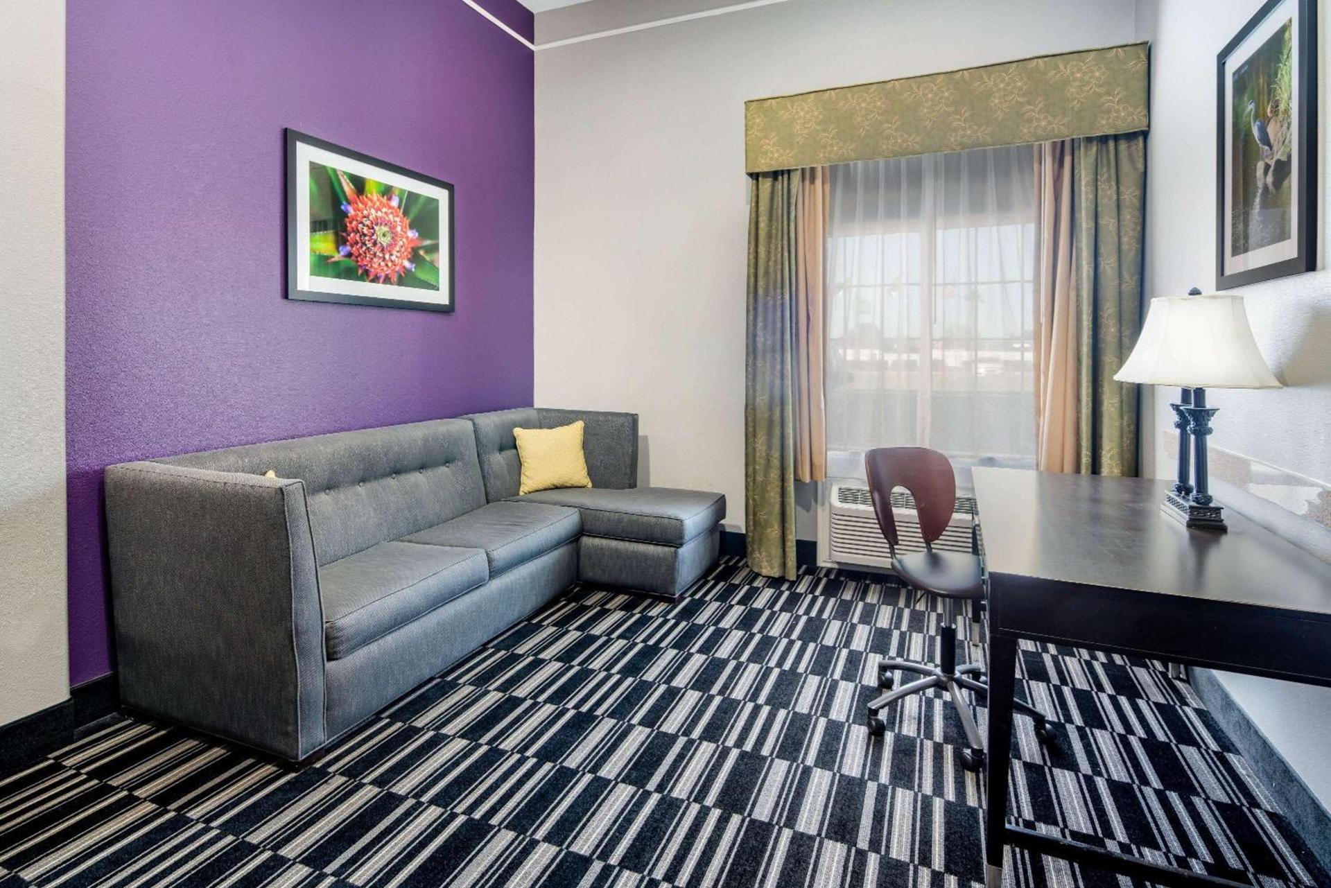 La Quinta by Wyndham Alamo-McAllen East photo 14