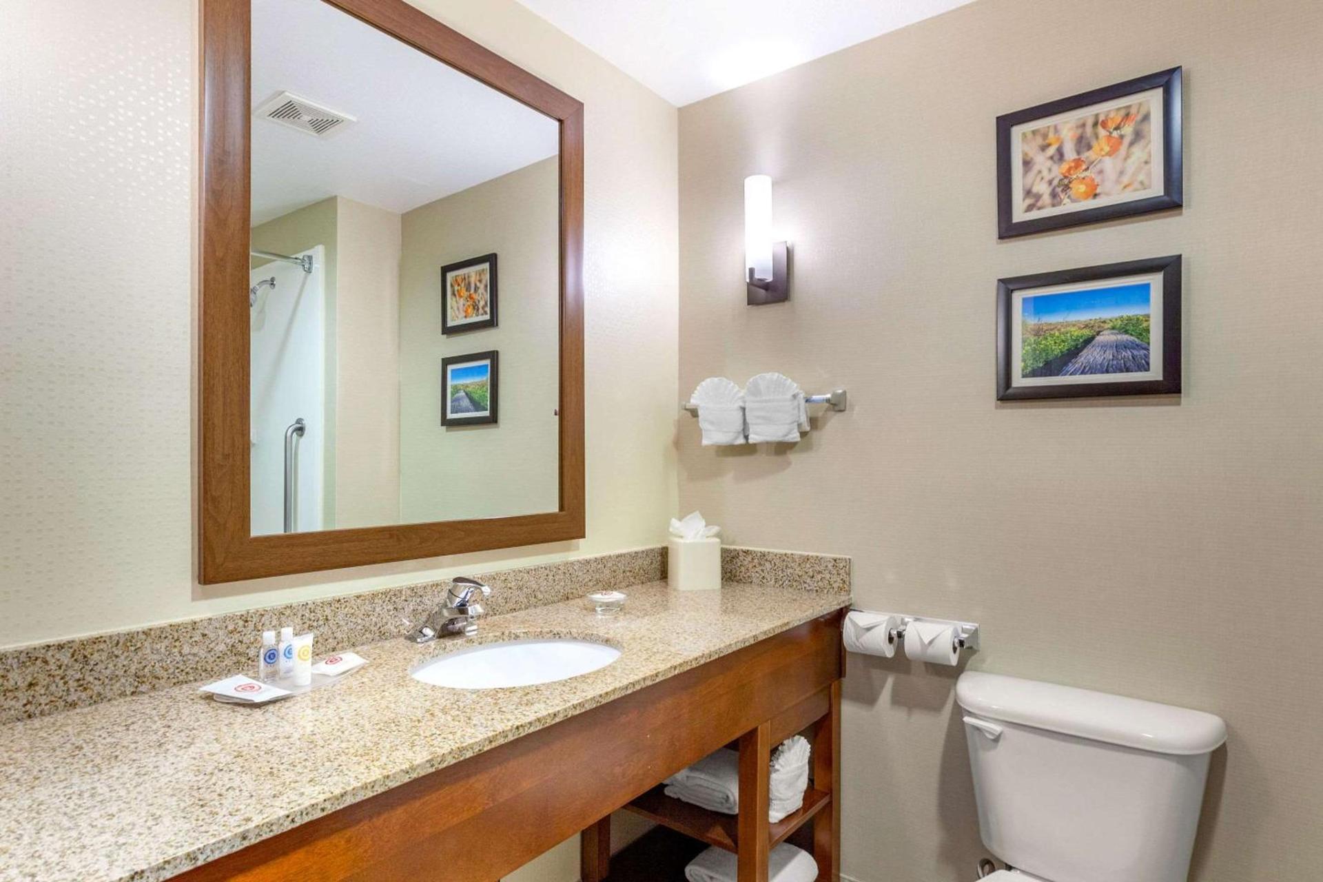 Comfort Suites Glendale - State Farm Stadium Area photo 12