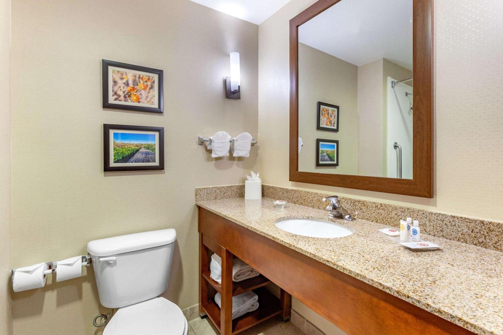 Comfort Suites Glendale - State Farm Stadium Area photo 25