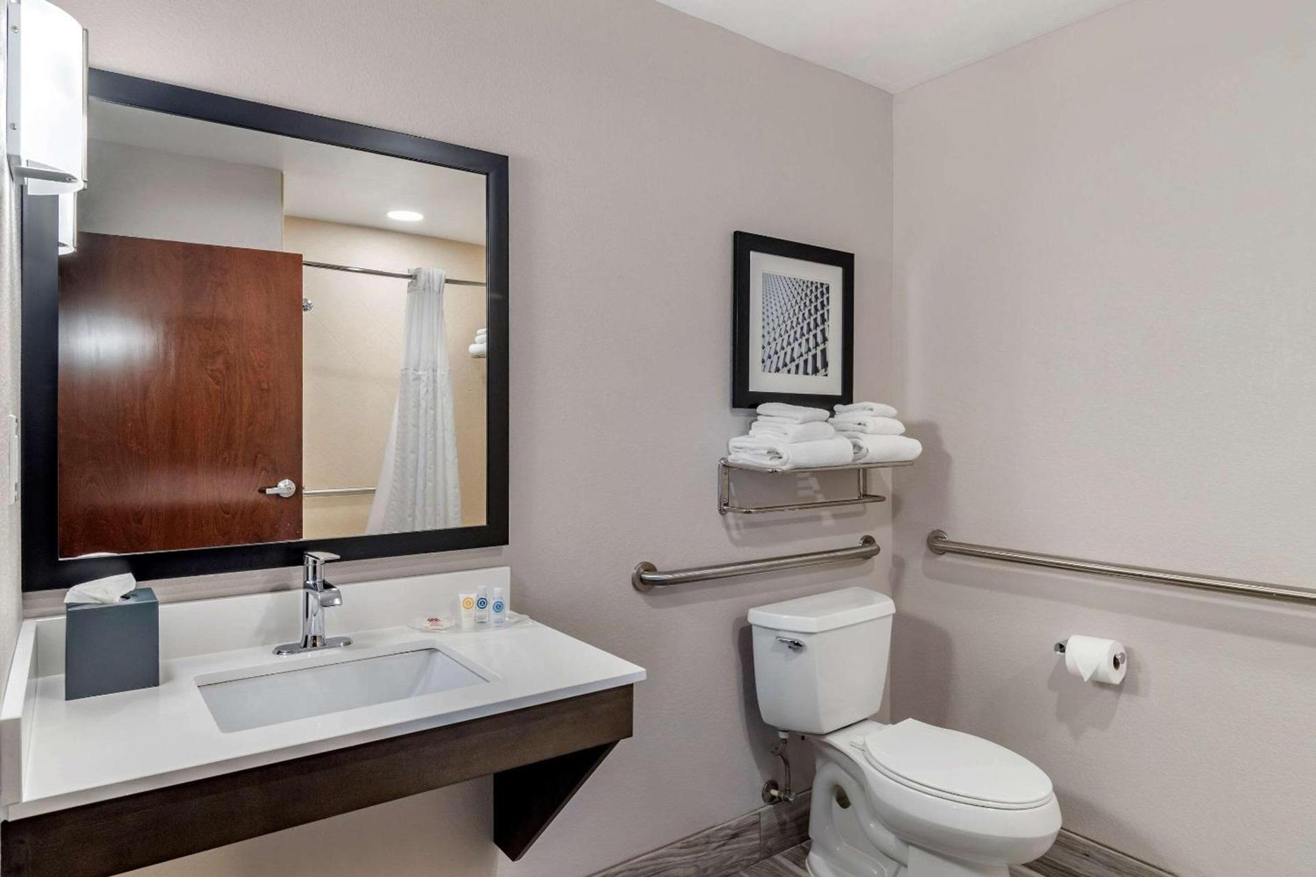 Comfort Suites McDonough Atlanta South photo 8