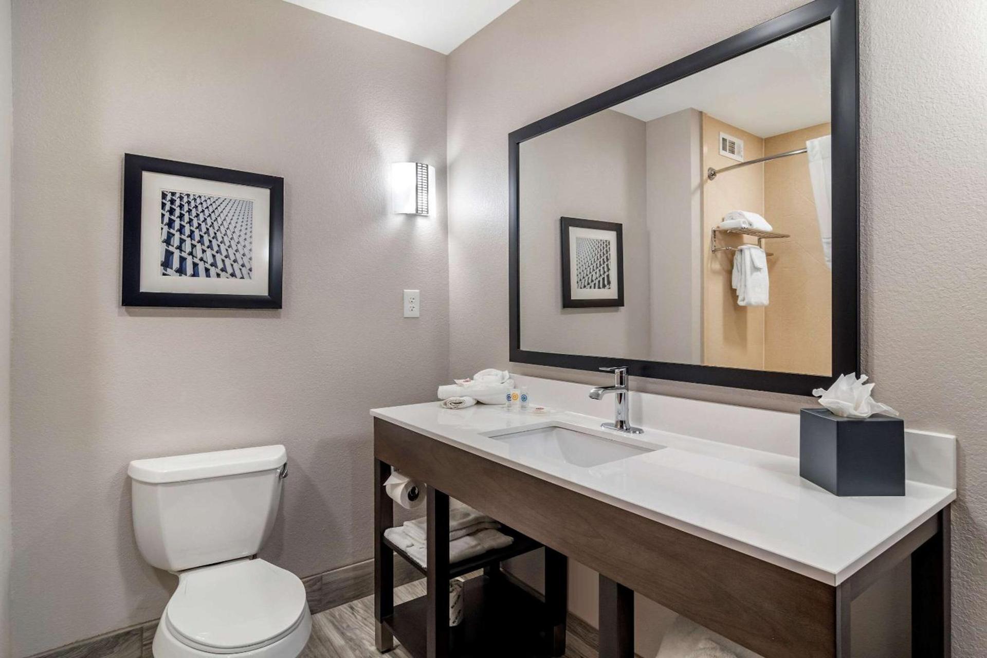 Comfort Suites McDonough Atlanta South photo 14